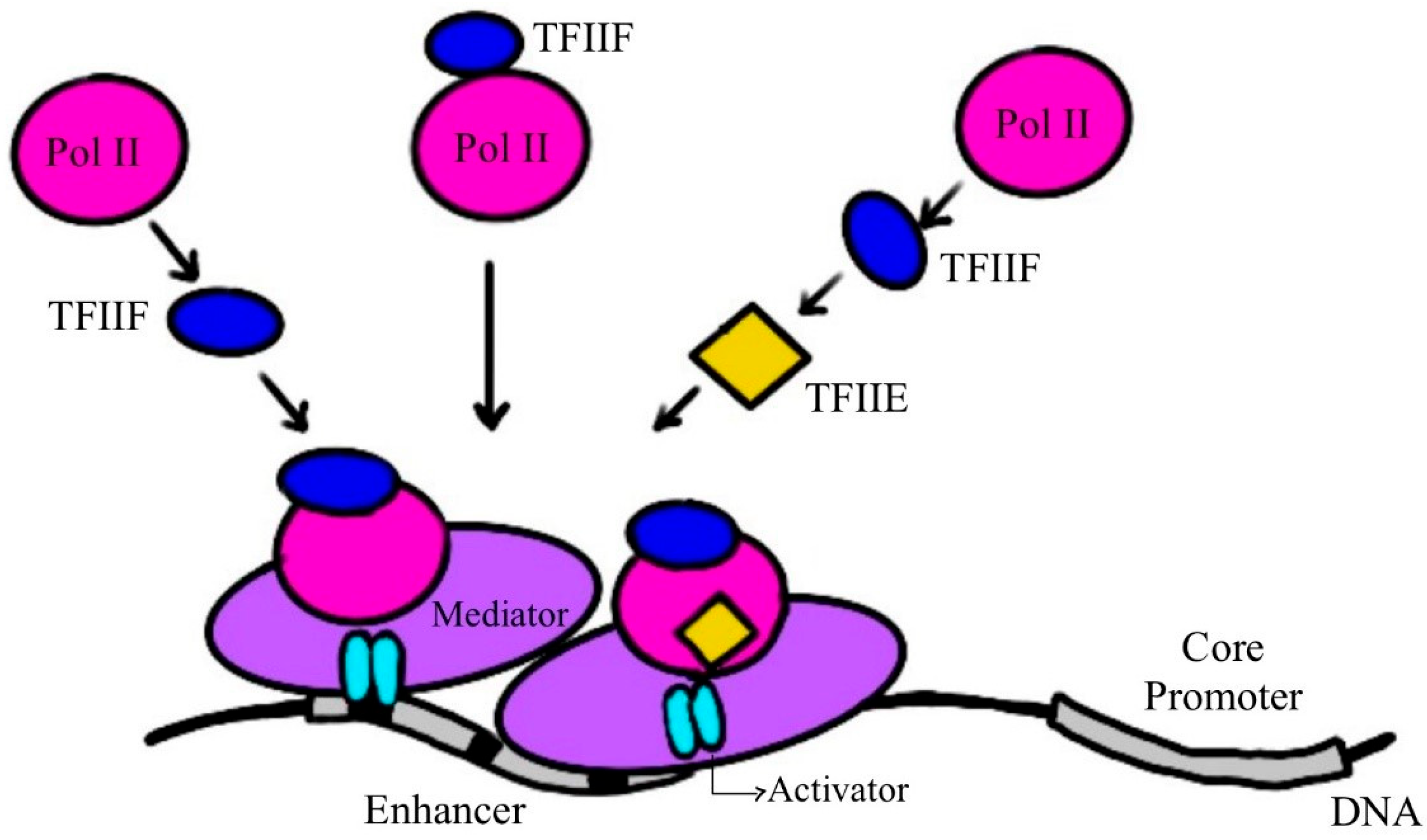 Macromol 05 00056 g002