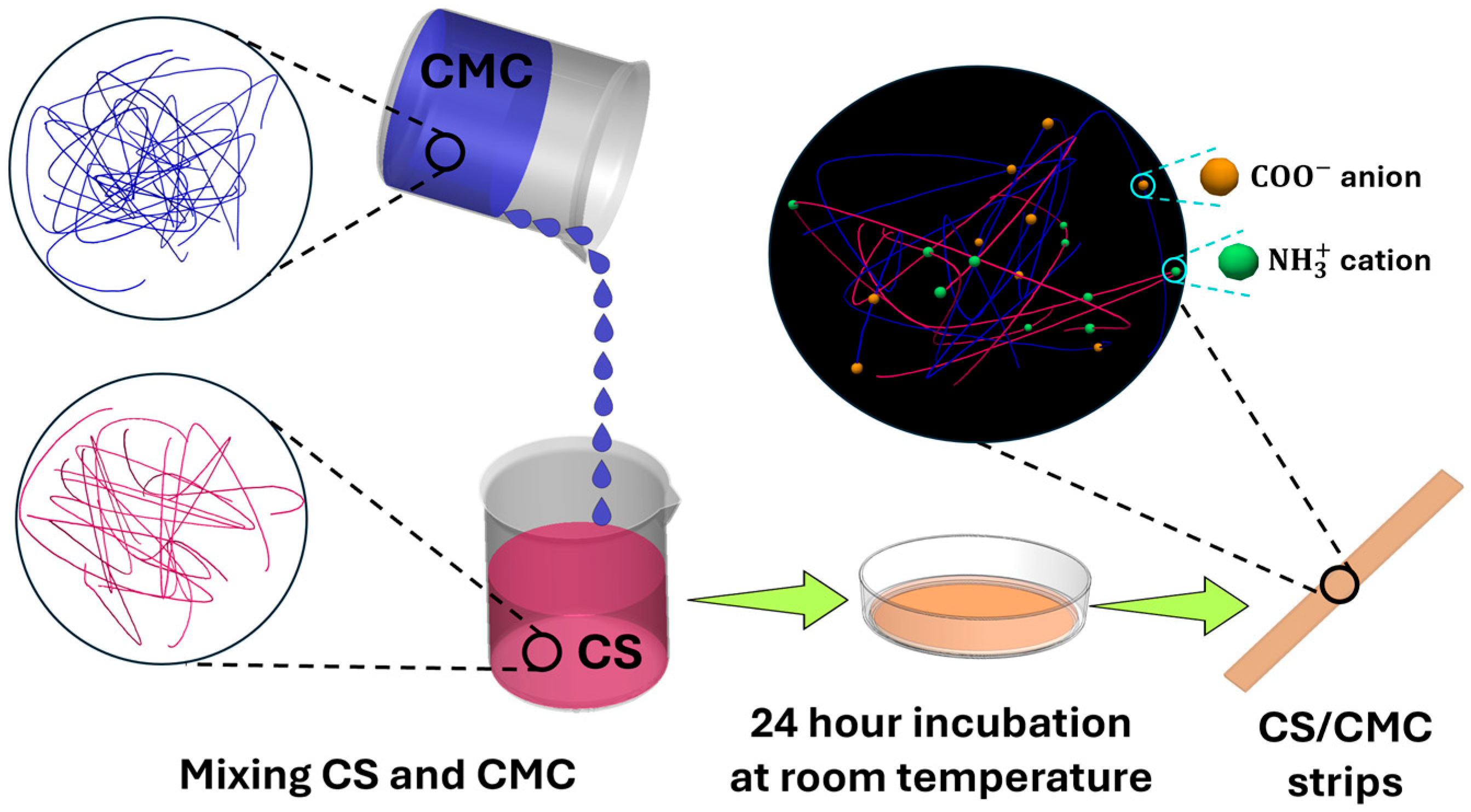 Macromol 05 00057 g001