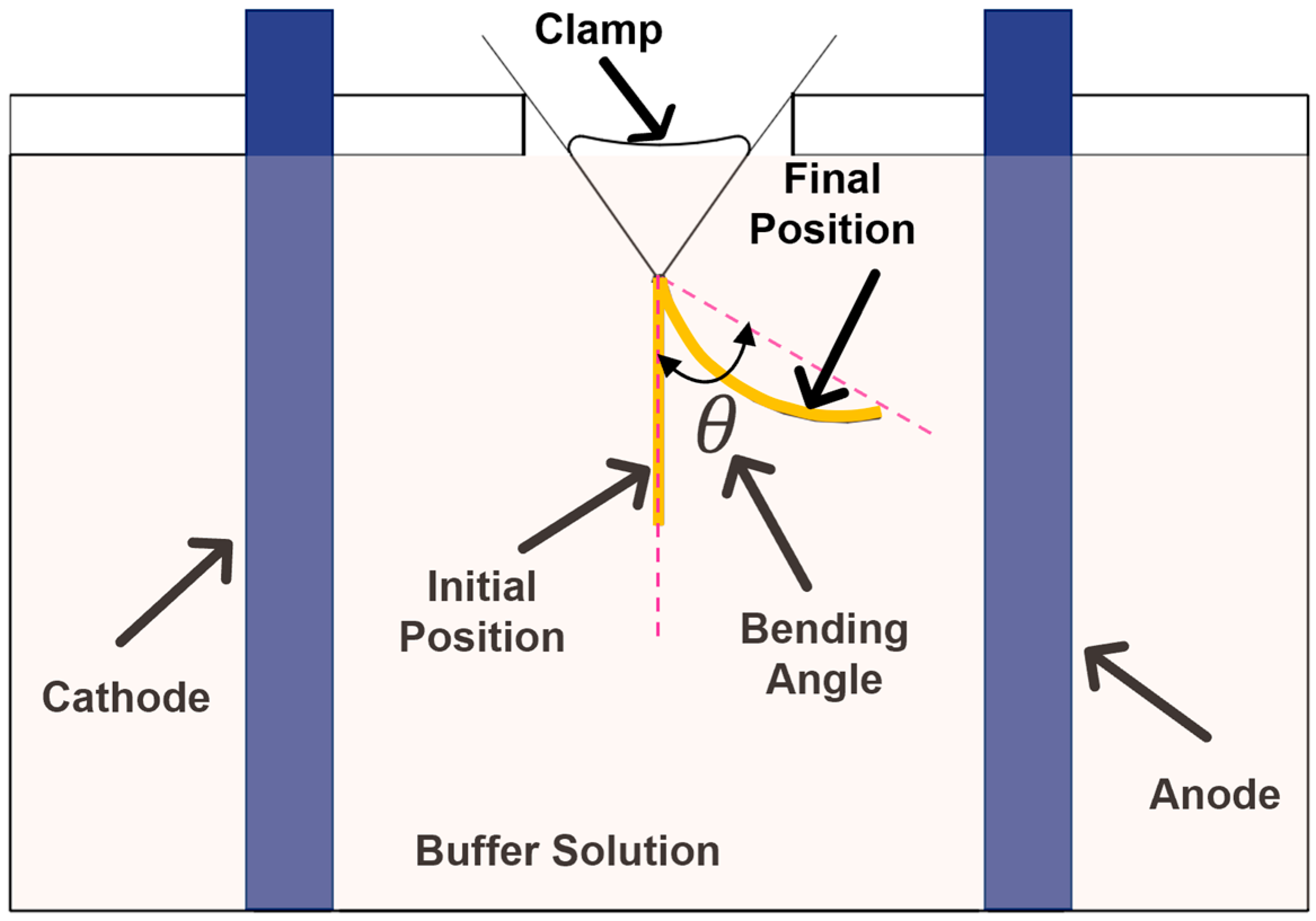 Macromol 05 00057 g002