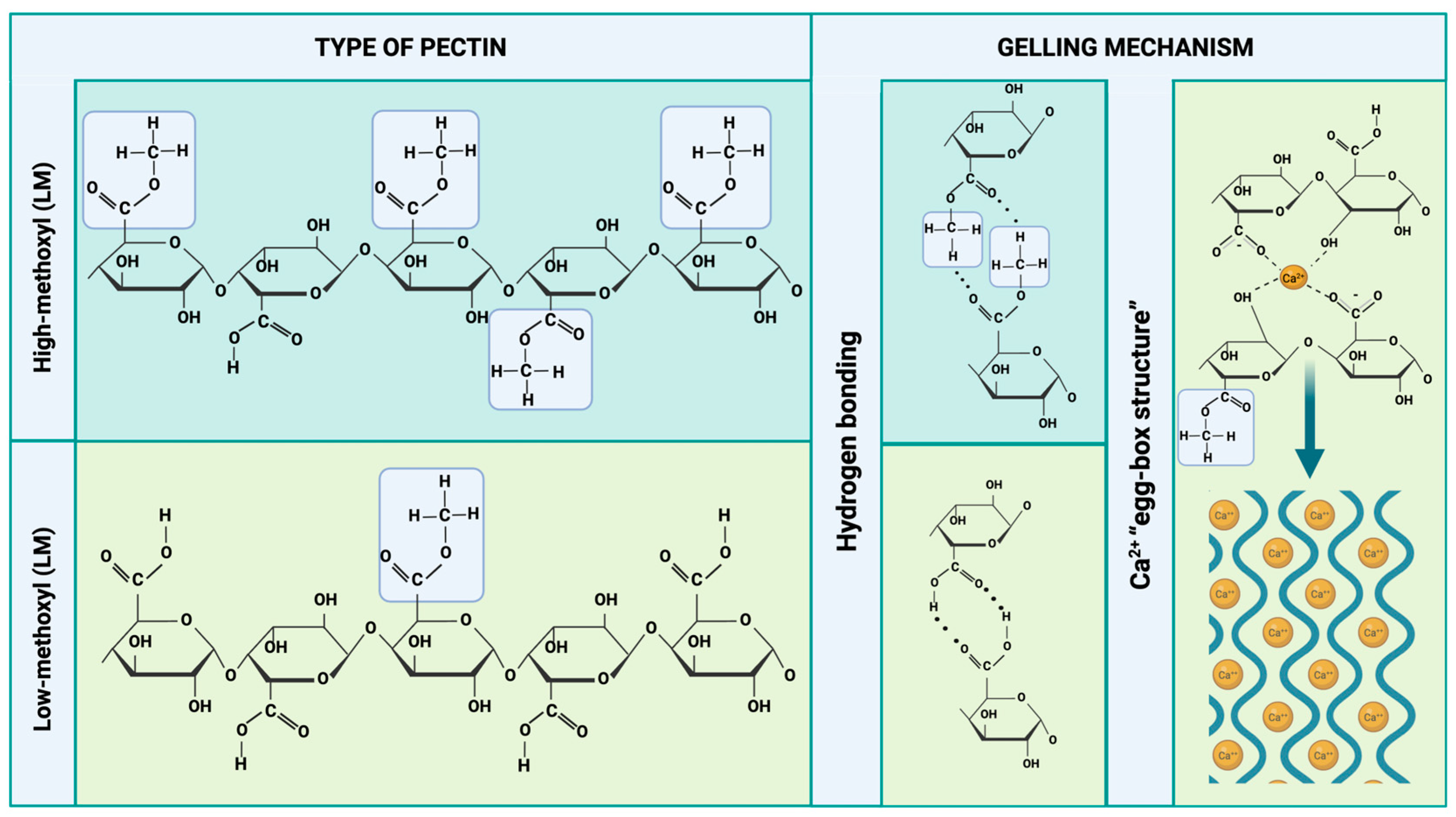 Macromol 05 00058 g002
