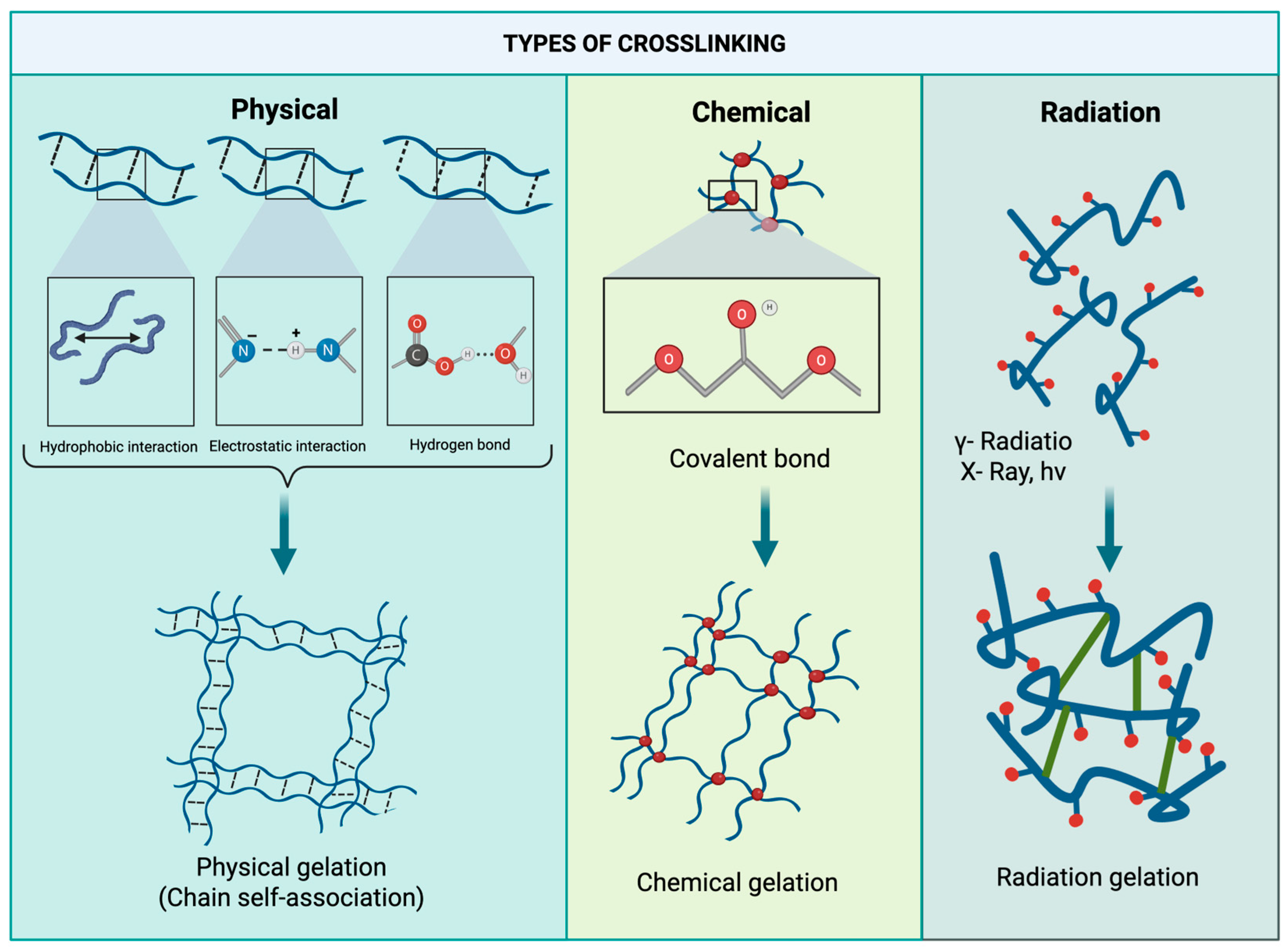 Macromol 05 00058 g003