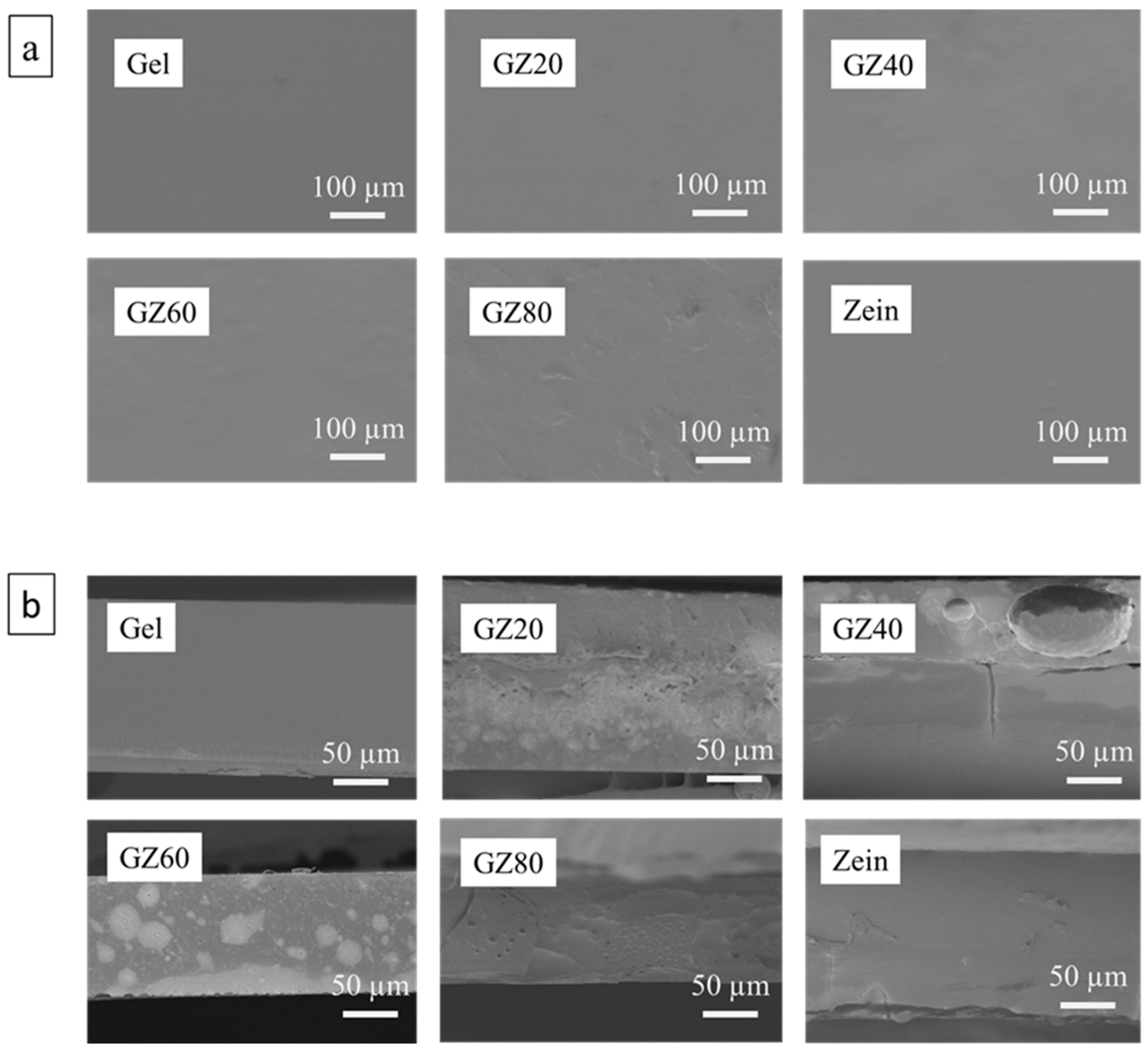 Macromol 06 00002 g005