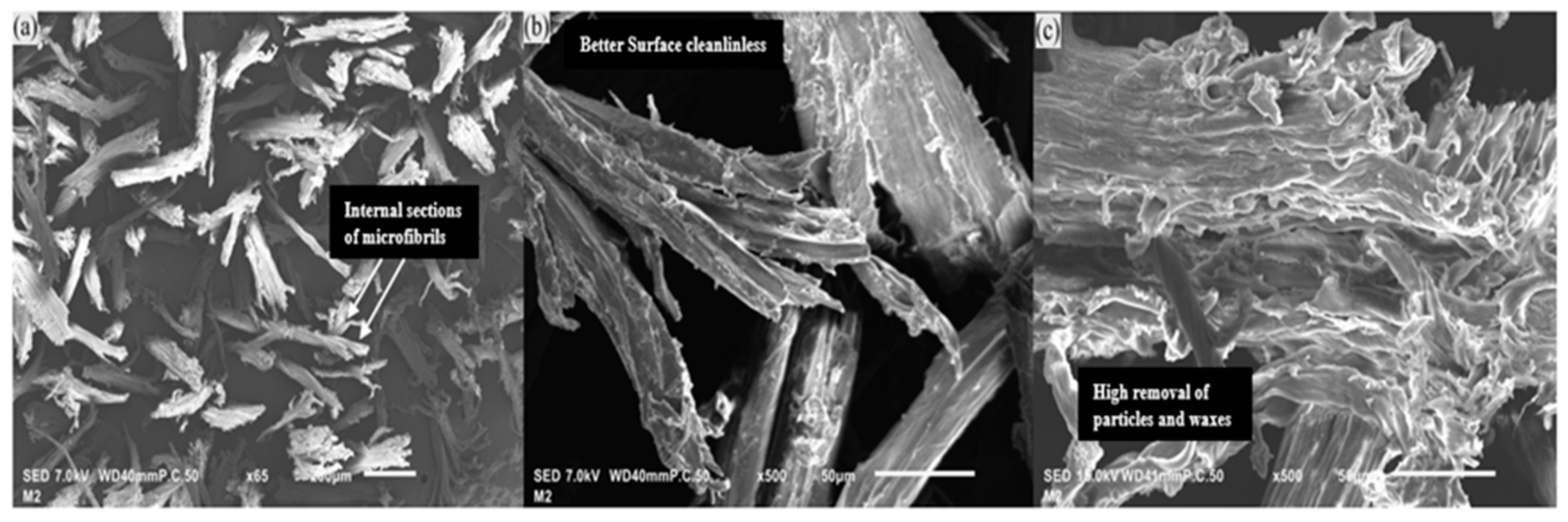 Macromol 06 00004 g008 Macromol 06 00004 g008