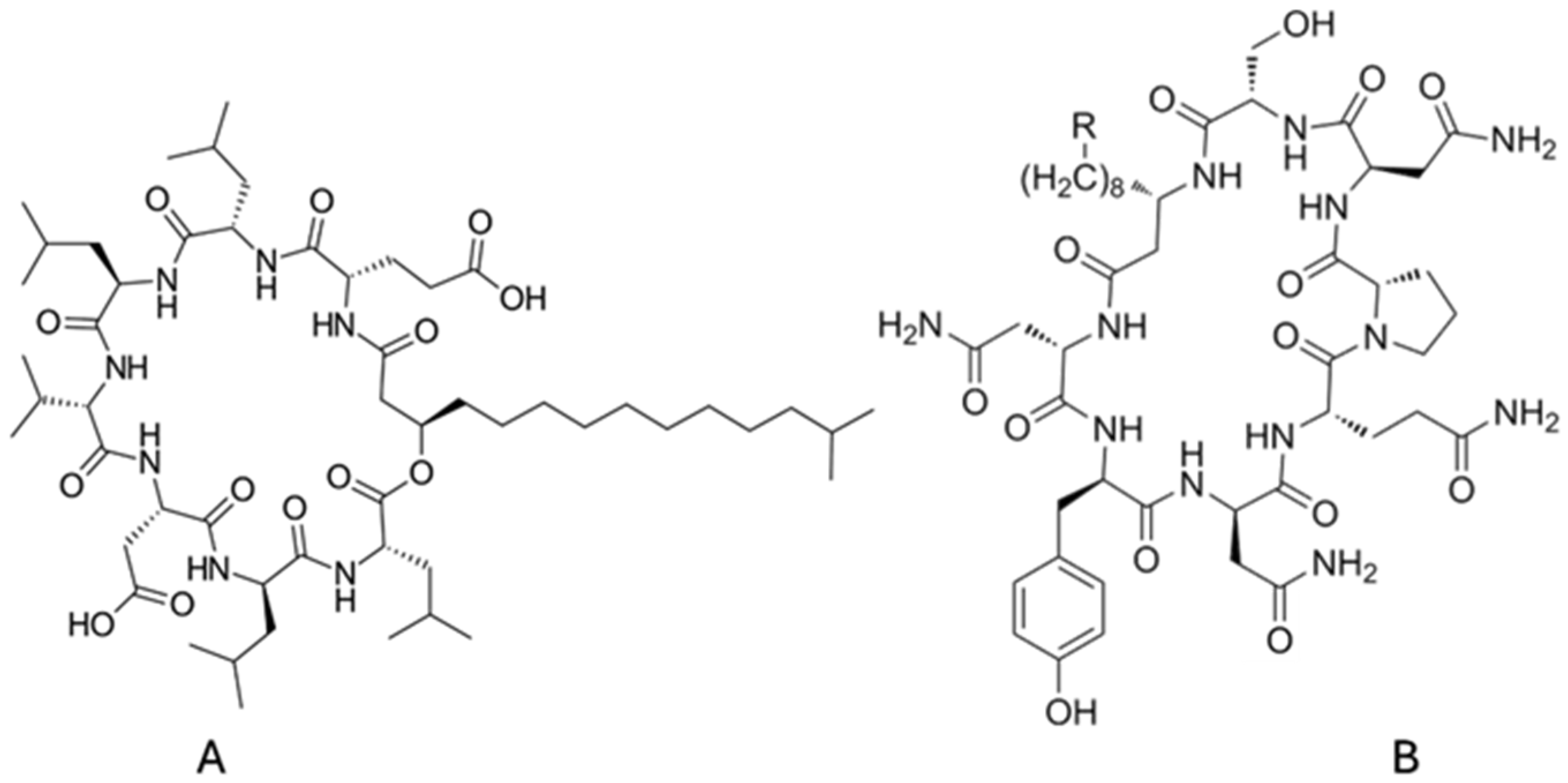 Macromol 06 00006 g002