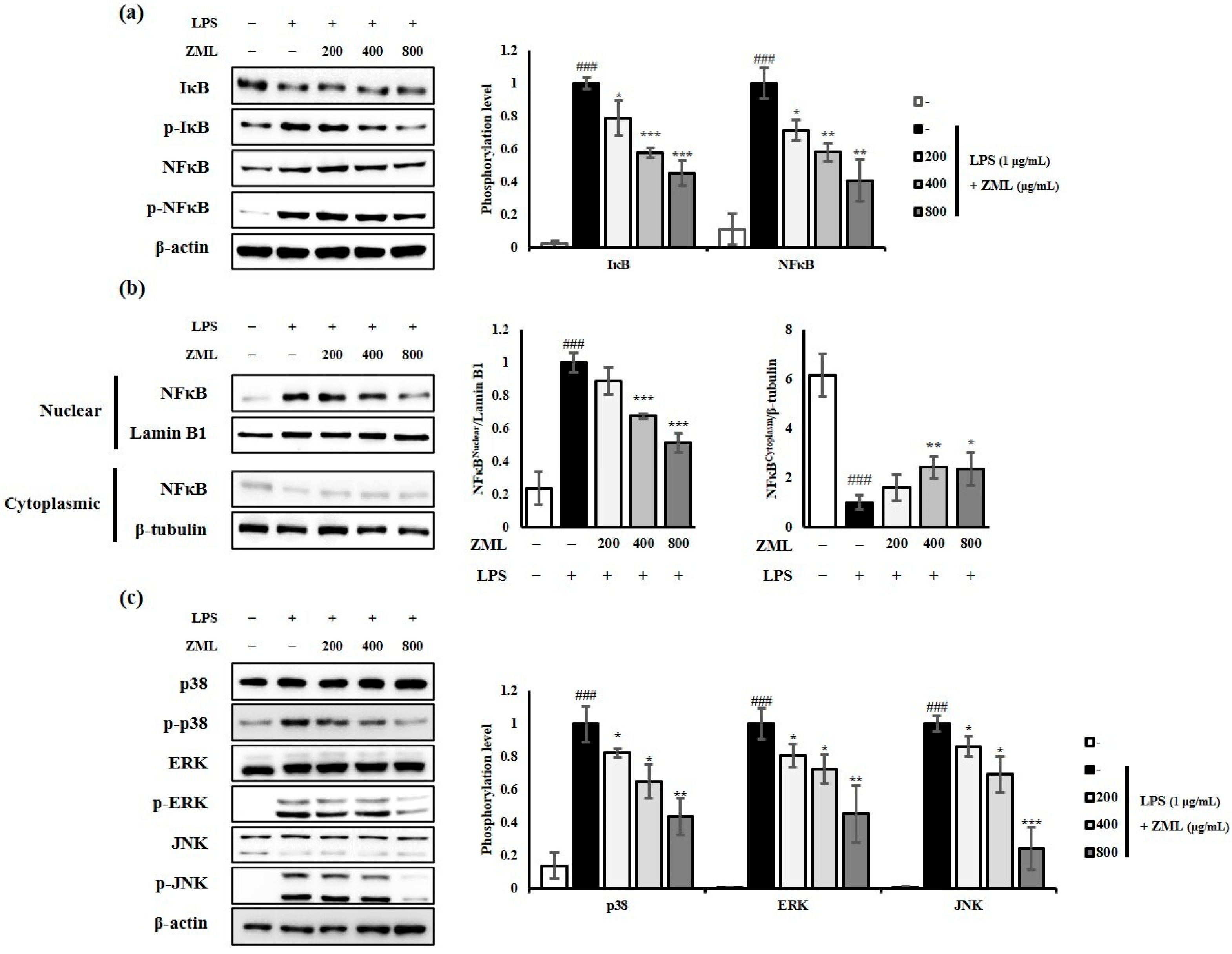 Macromol 06 00021 g004 Macromol 06 00021 g004