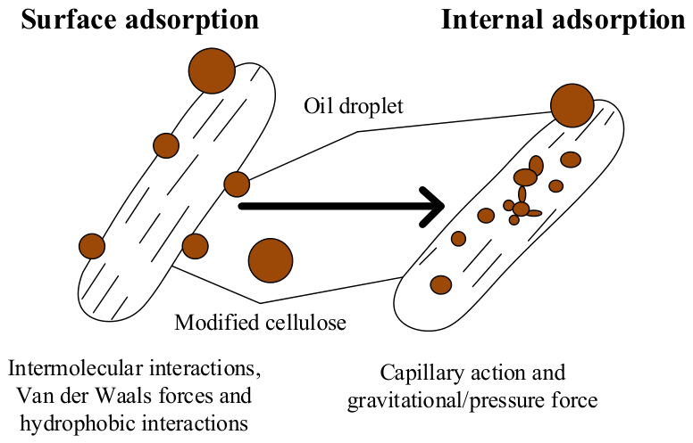 Macromol 06 00028 g009 Macromol 06 00028 g009