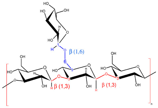 Mushroom-Derived Polysaccharides in the Modulation of Cellular Aging