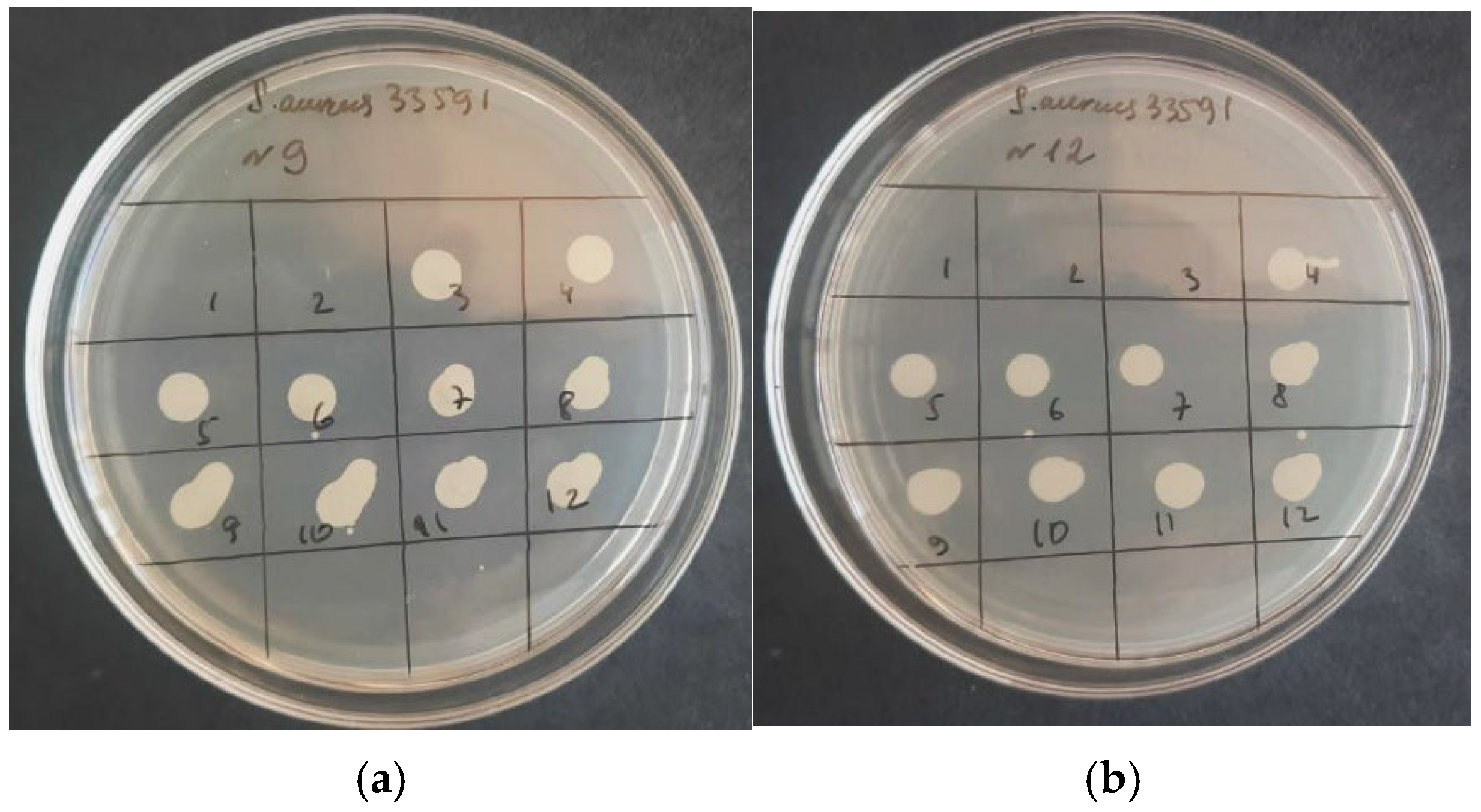 Macromol 06 00045 g006 Macromol 06 00045 g006