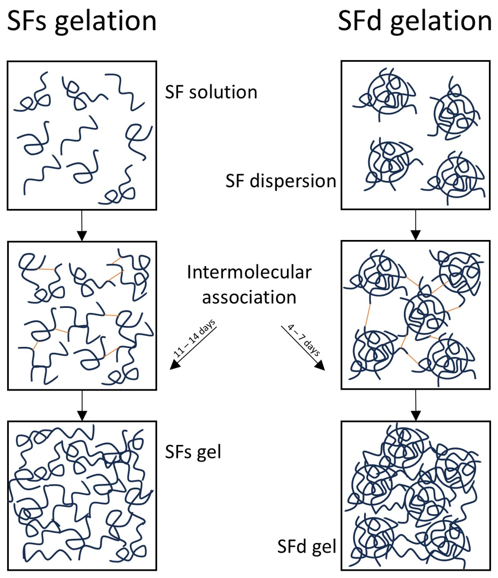 Macromol 06 00059 g001 Macromol 06 00059 g001