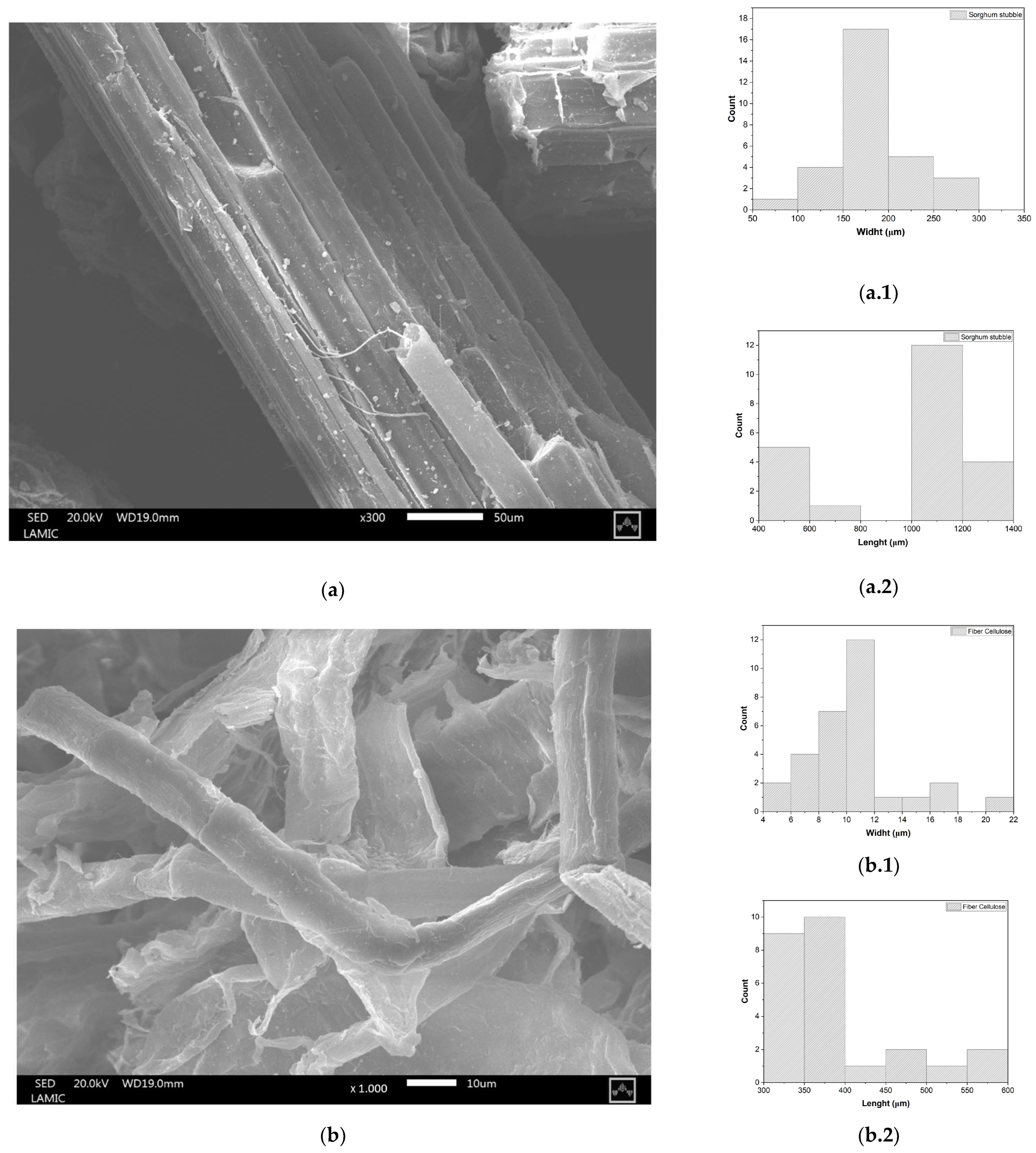 Macromol 06 00060 g003 Macromol 06 00060 g003