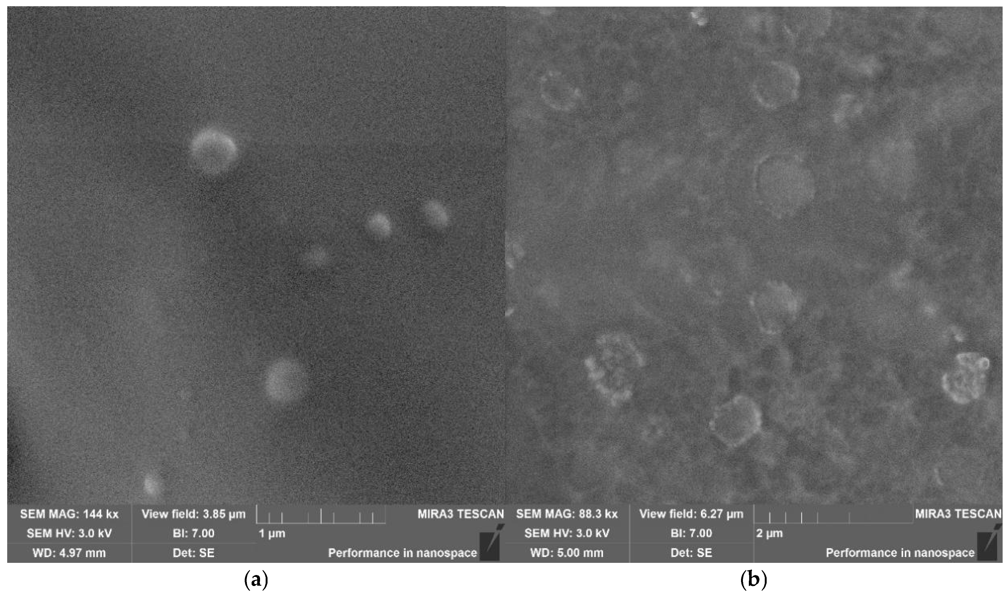 Macromol 06 00061 g003 Macromol 06 00061 g003
