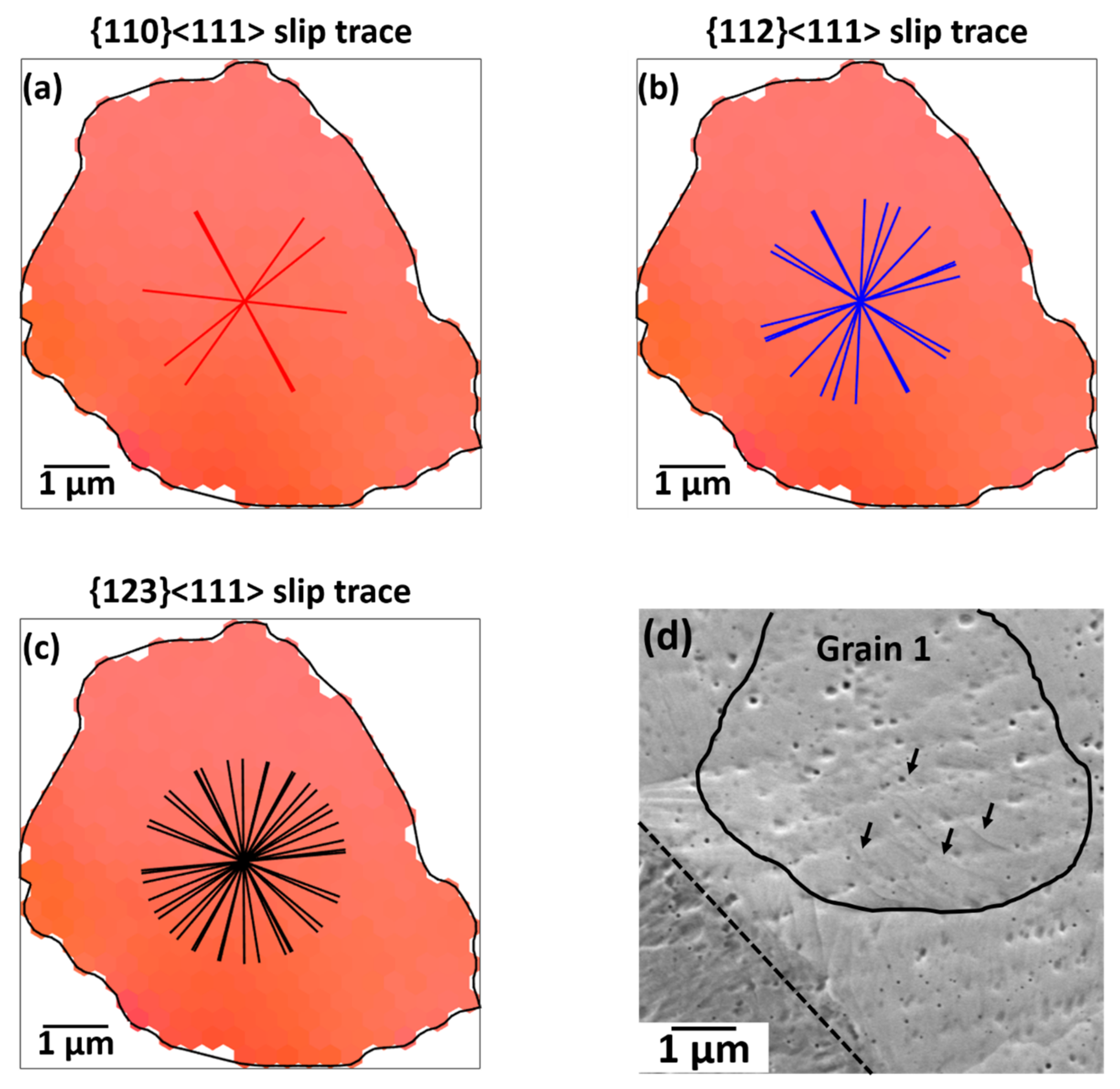 Magnetism 02 00007 g010