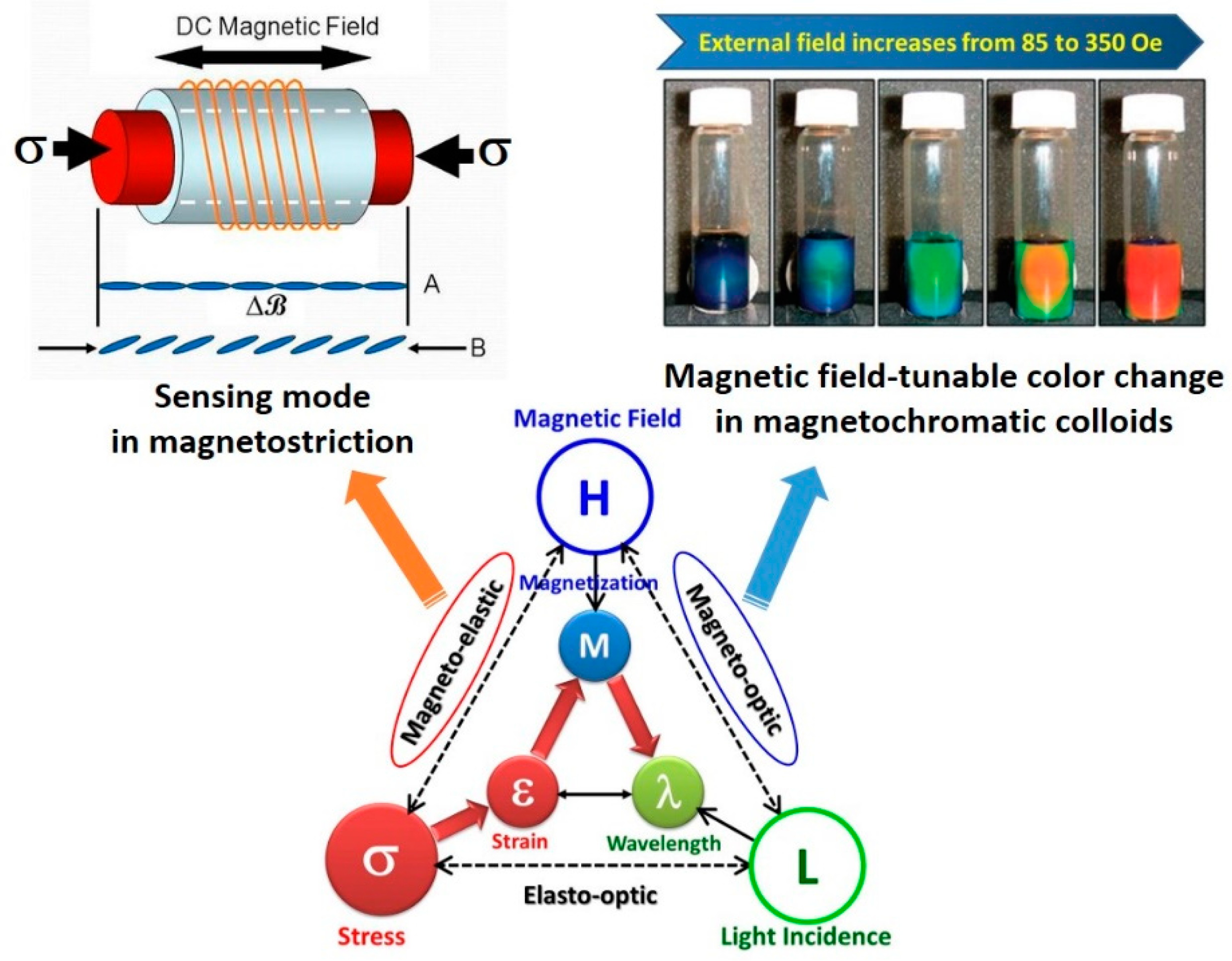 Magnetism 02 00008 g001