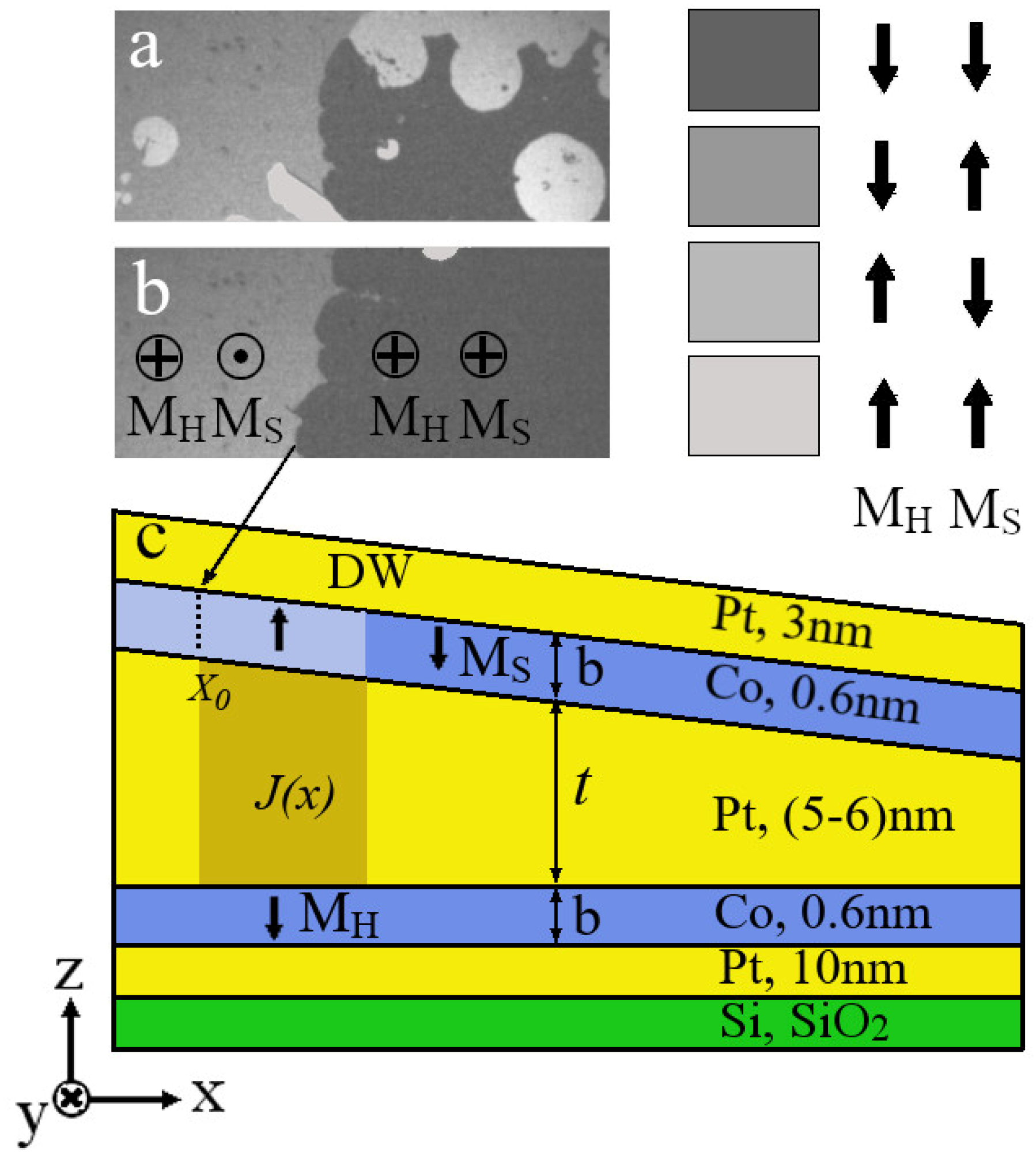 Magnetism 02 00014 g001