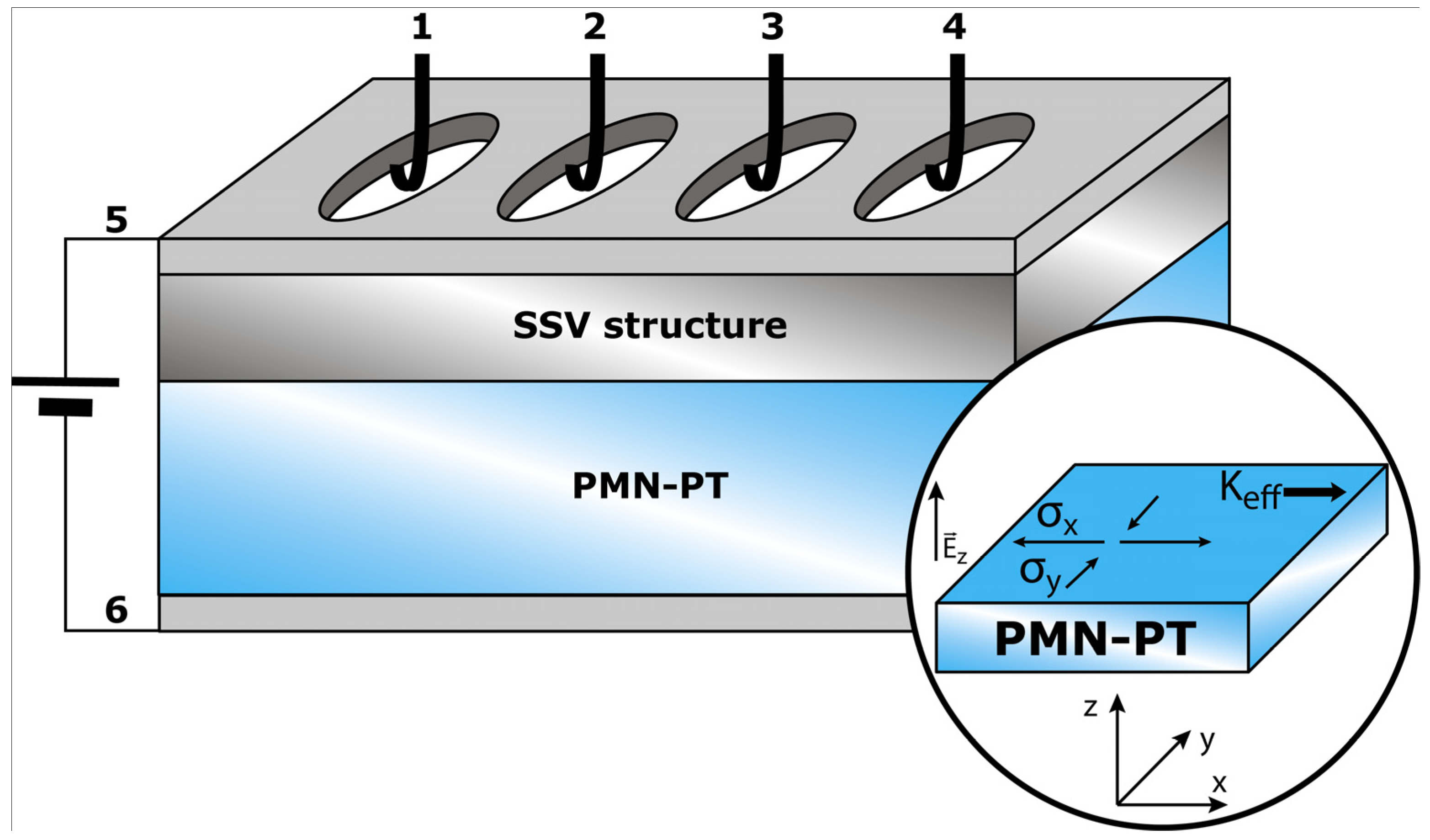 Magnetism 03 00016 g002