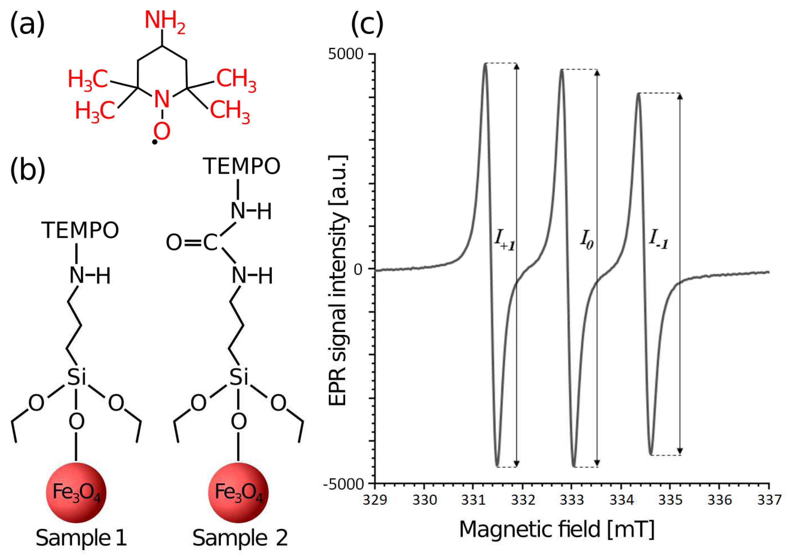 Magnetism 04 00009 g001