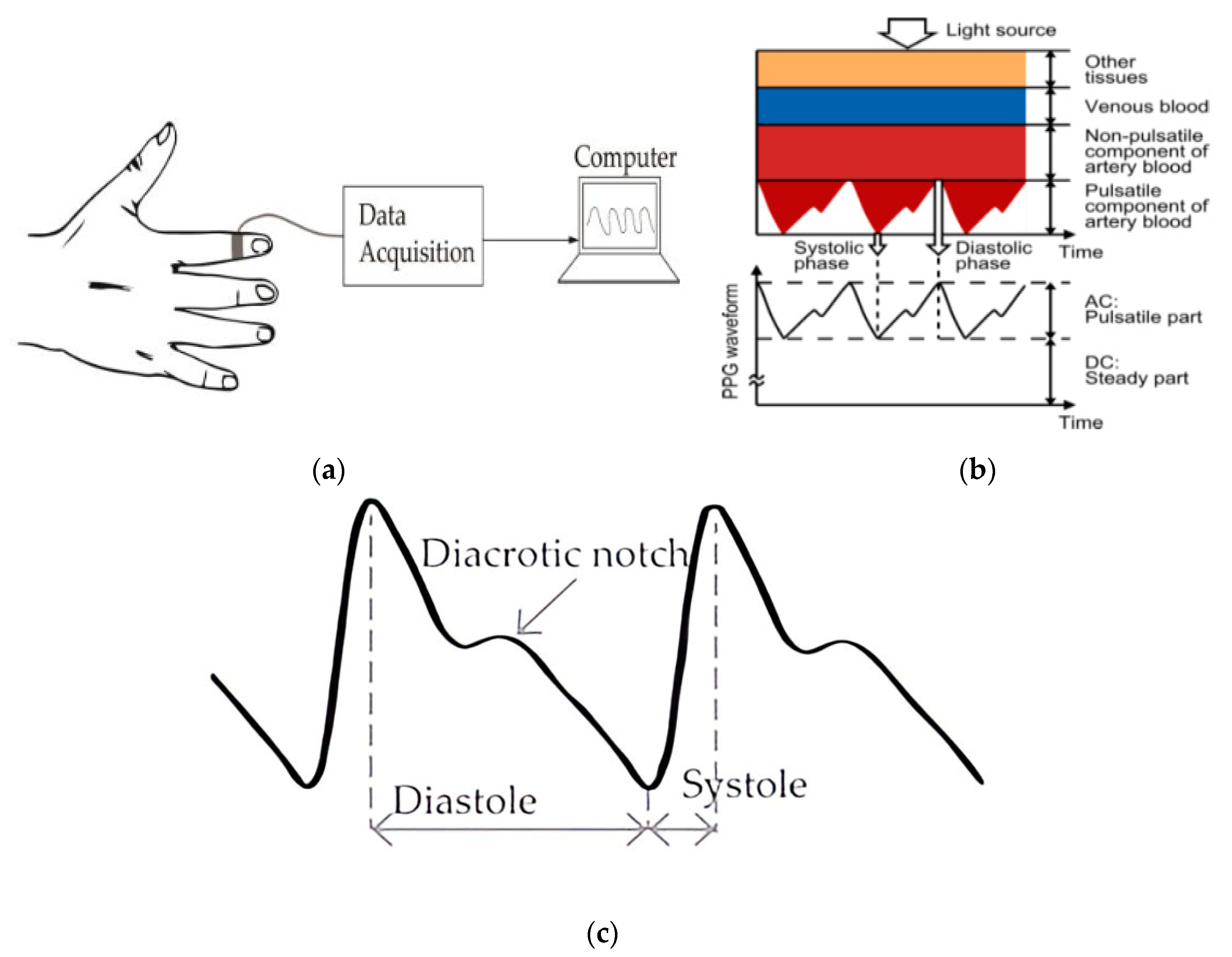 Magnetism 04 00015 g007