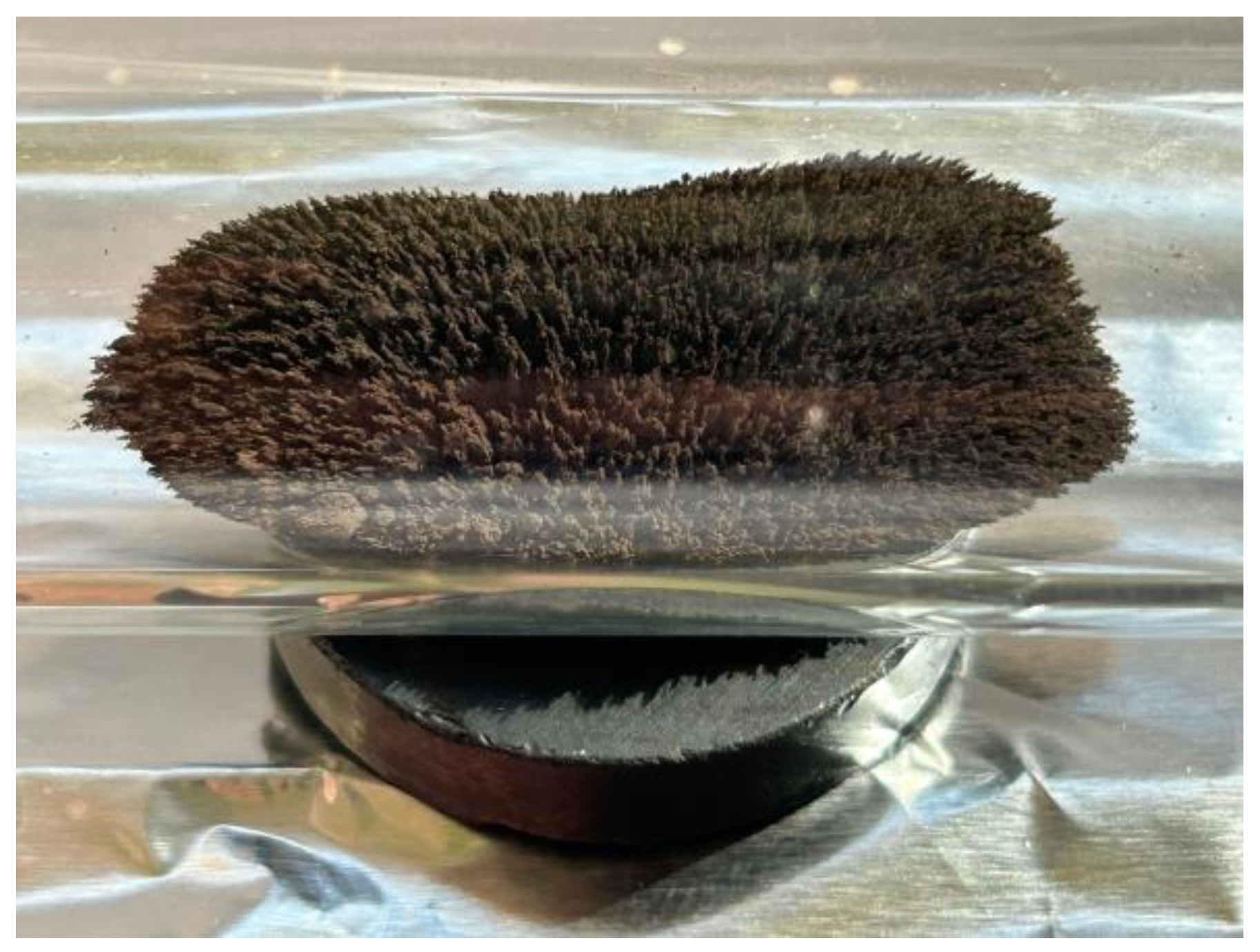 Magnetism 04 00016 g002