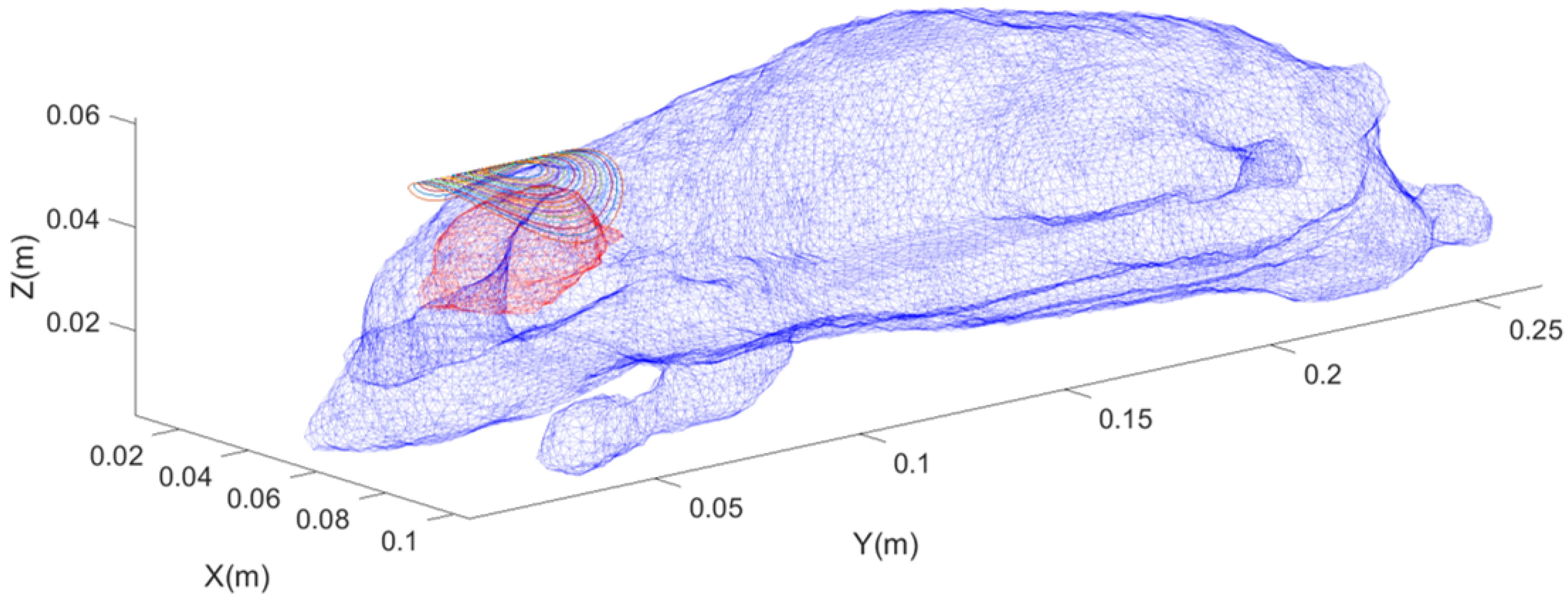 Magnetism 05 00028 g005