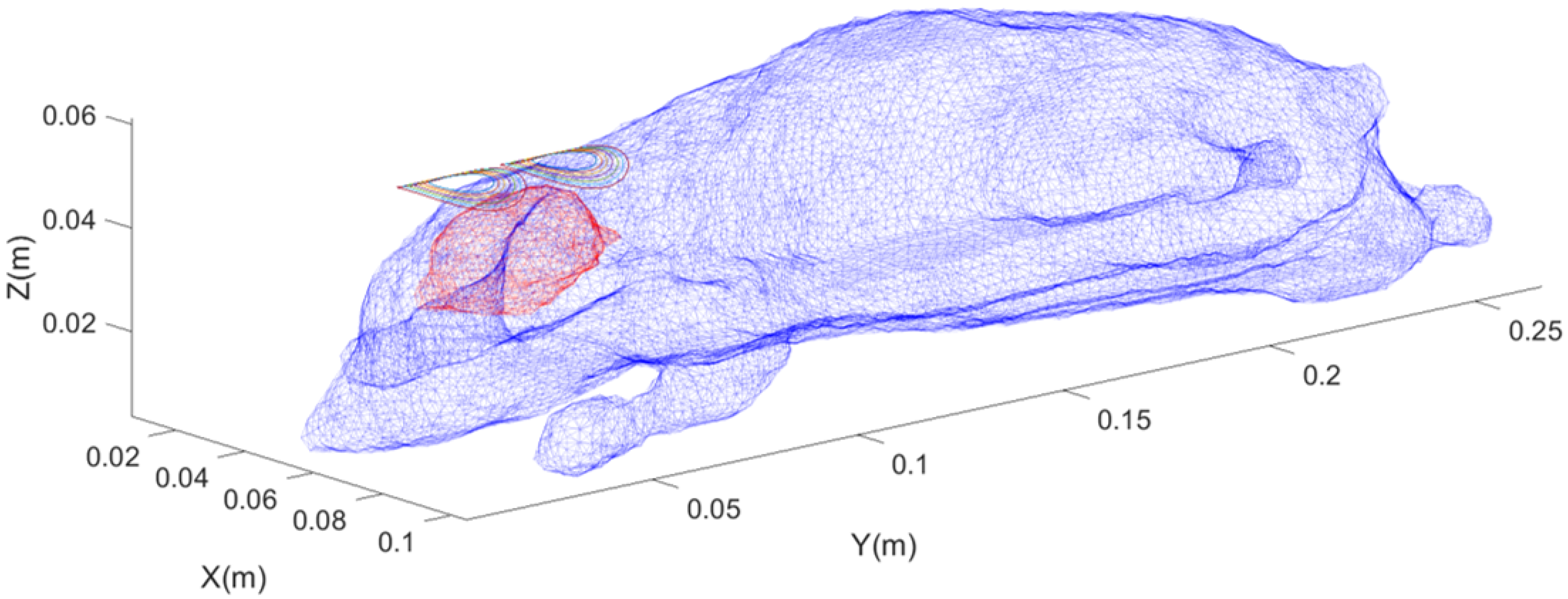 Magnetism 05 00028 g006