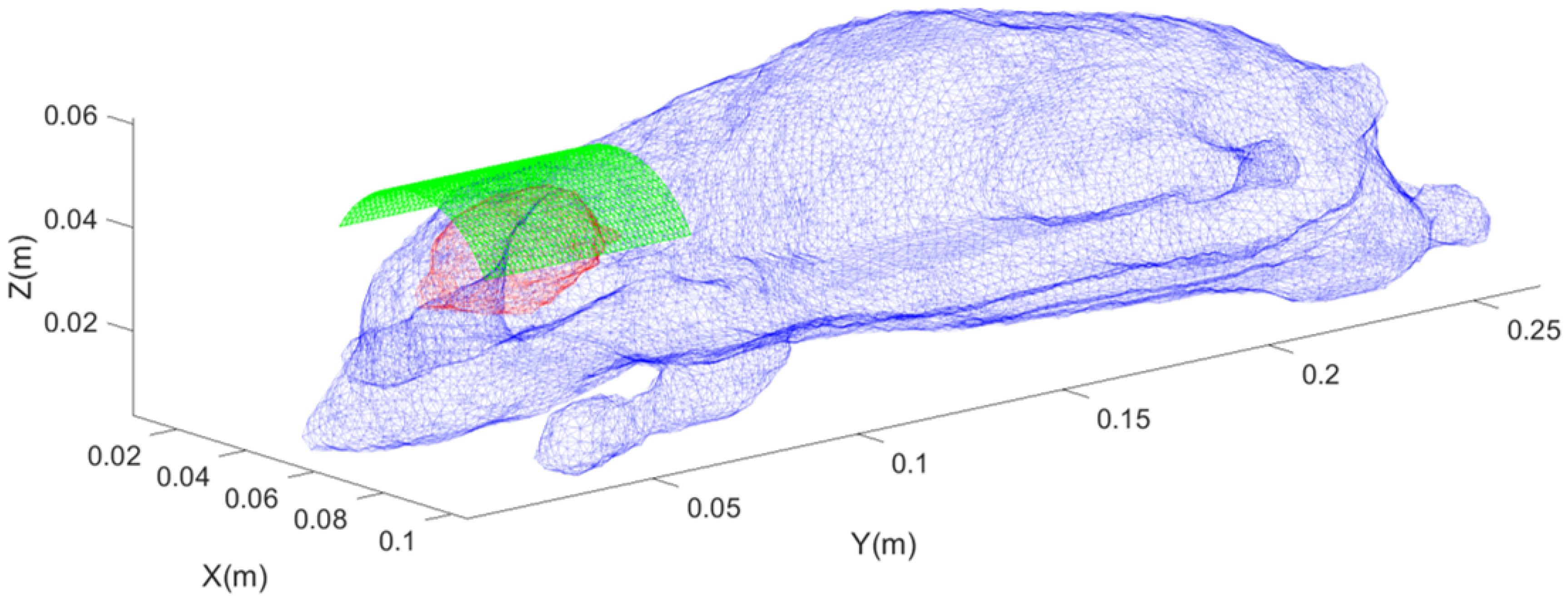 Magnetism 05 00028 g007