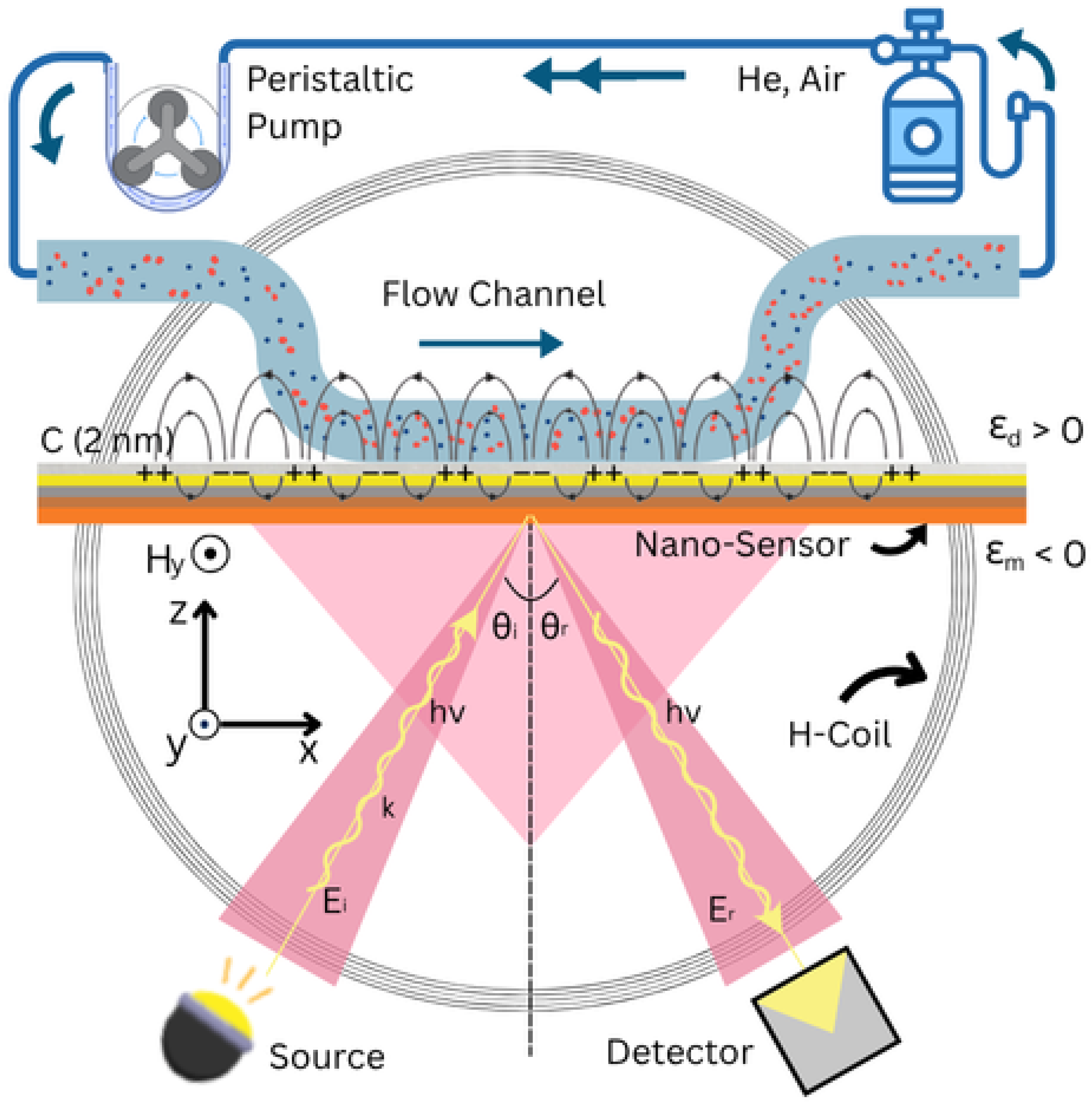 Magnetism 06 00003 g005