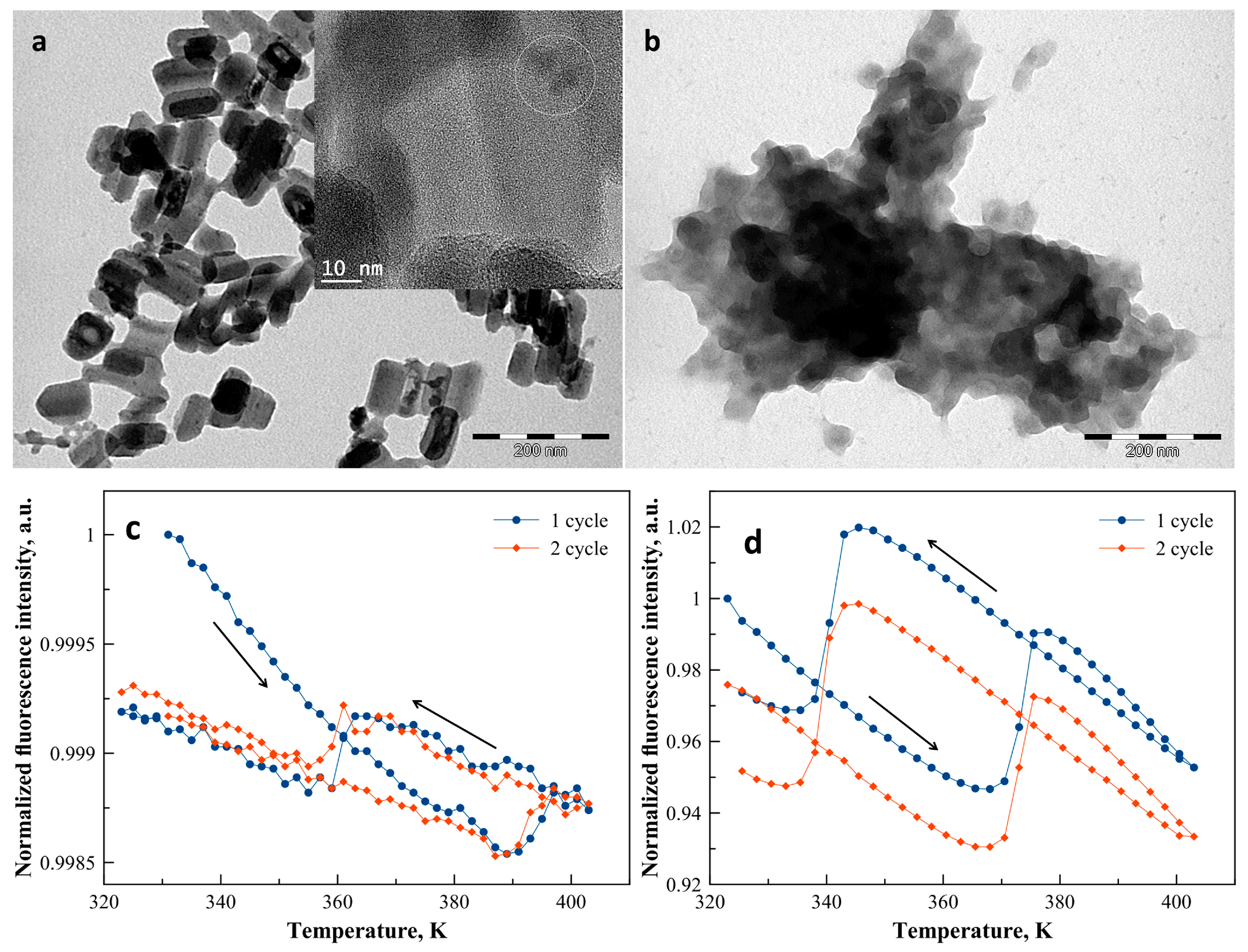 Magnetochemistry 02 00011 g002 1024