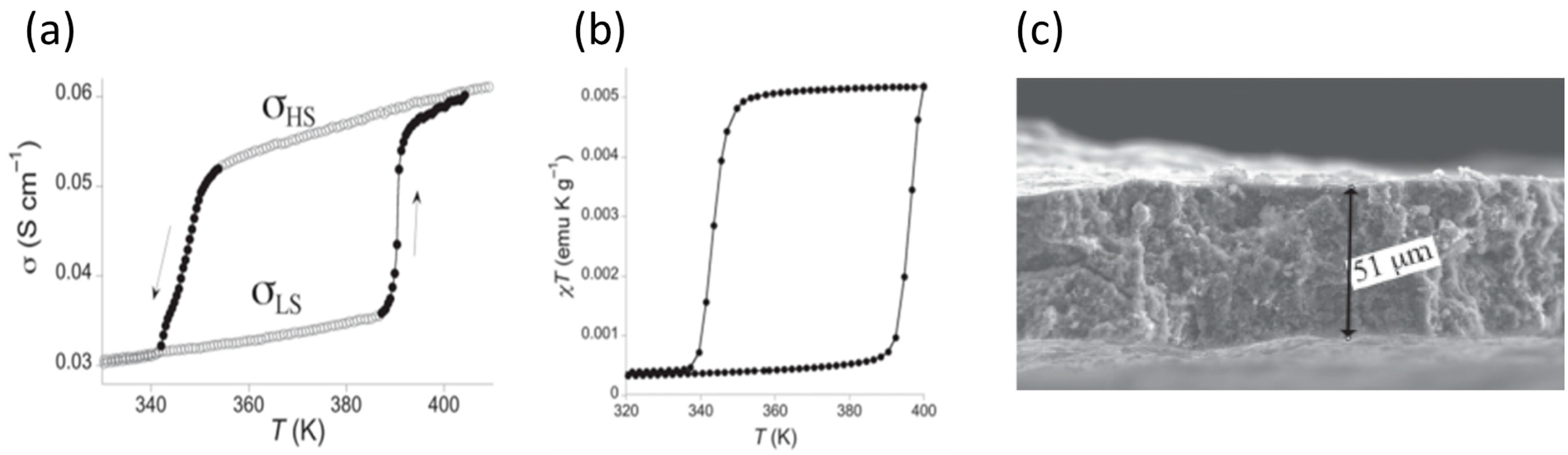 Magnetochemistry Free Full Text Charge Transport And Electrical Properties Of Spin Crossover Materials Towards Nanoelectronic And Spintronic Devices Html