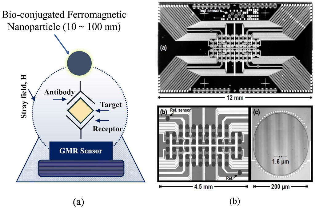 Ferromagnetic Multilayers: Magnetoresistance, Magnetic