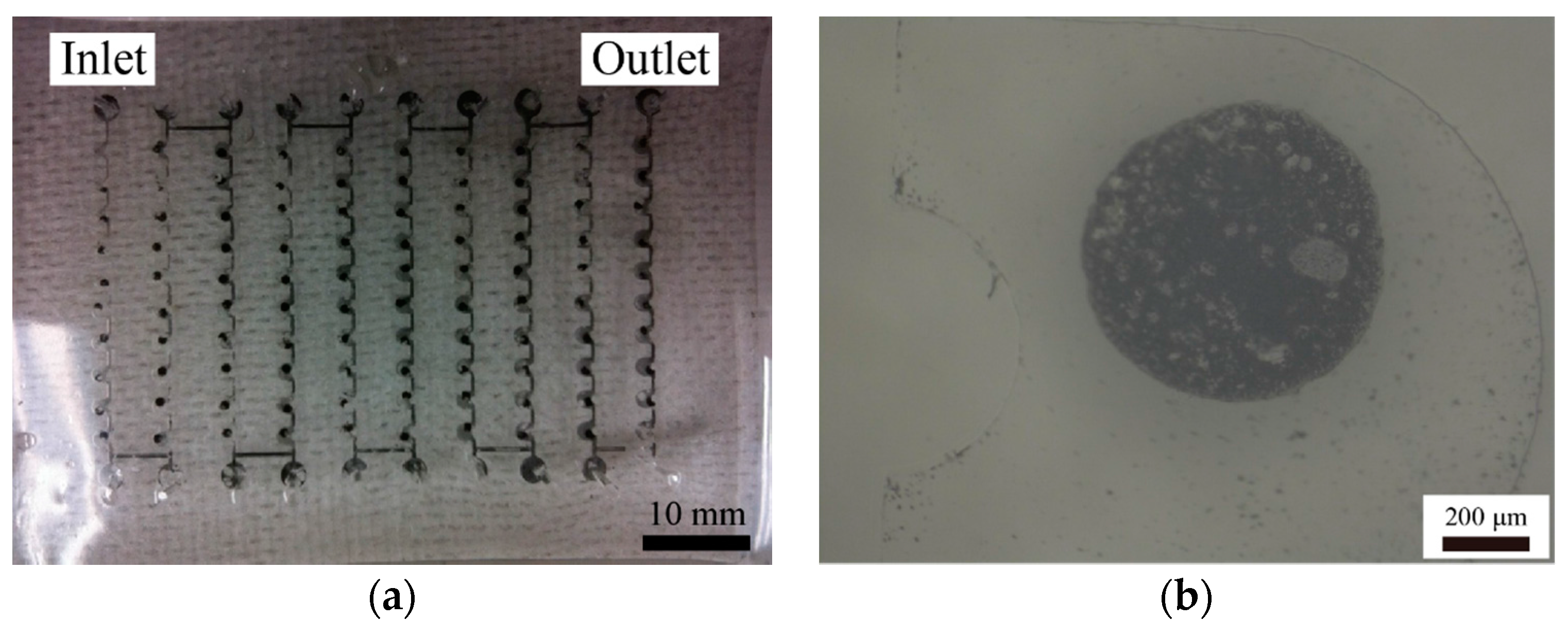 Magnetochemistry 04 00007 g010