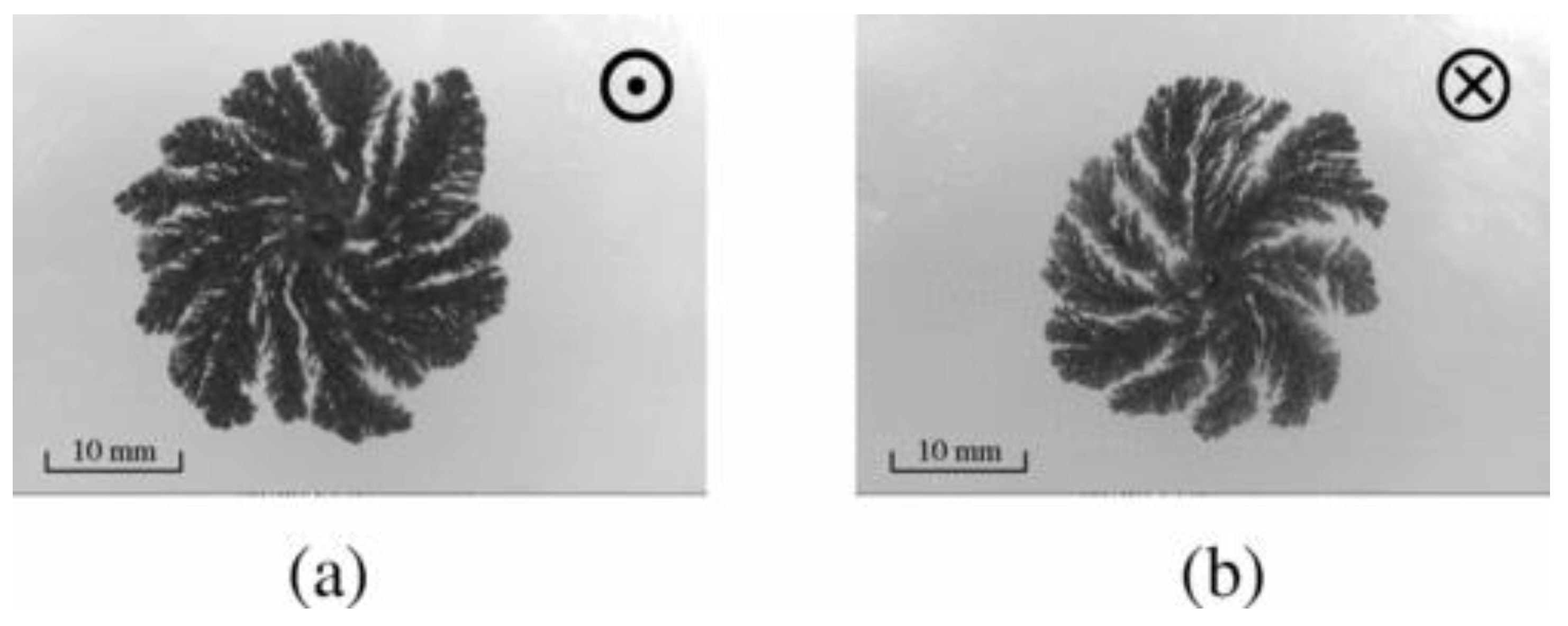 Magnetochemistry 04 00036 g001 Magnetochemistry 04 00036 g001