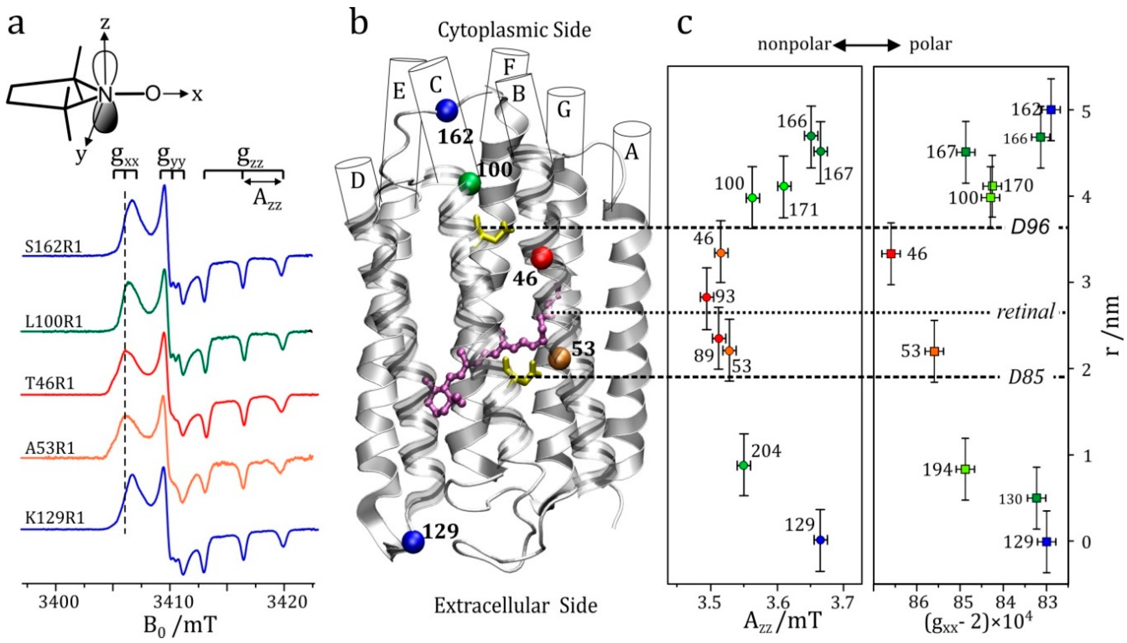 Magnetochemistry 04 00050 g005 Magnetochemistry 04 00050 g005