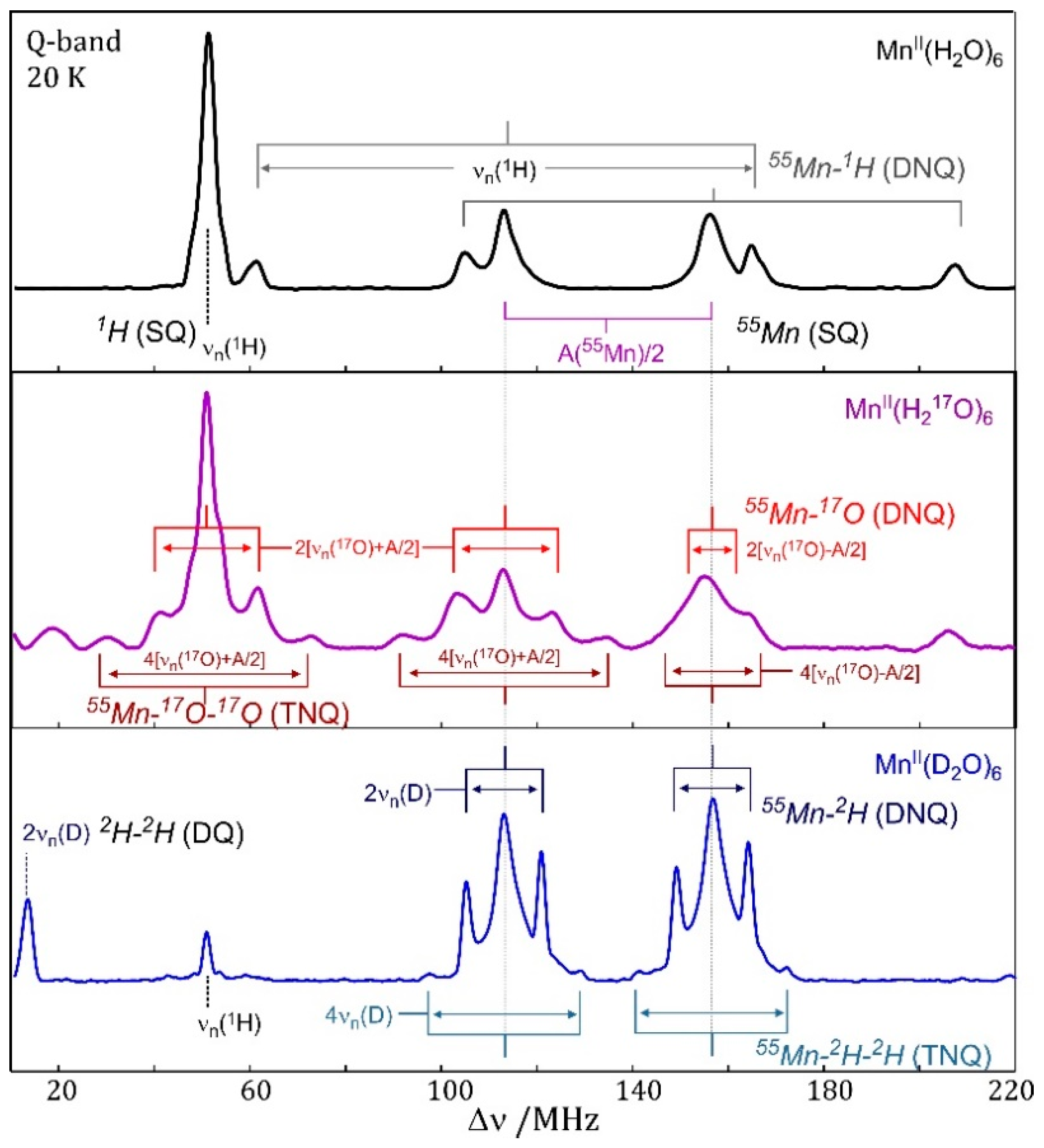 Shel Pake Bf Xxx - Magnetochemistry | Free Full-Text | Biomolecular EPR Meets NMR at ...