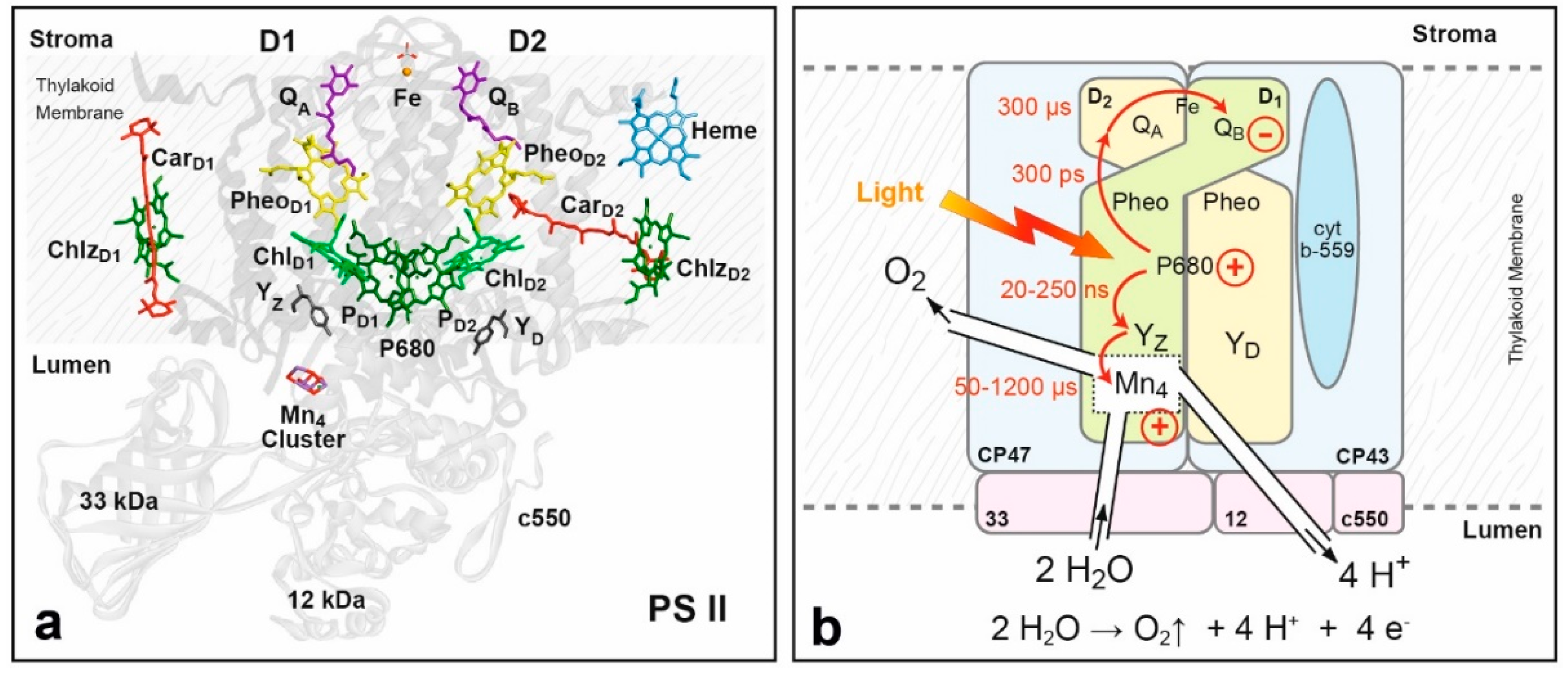 Magnetochemistry 04 00050 g013 Magnetochemistry 04 00050 g013