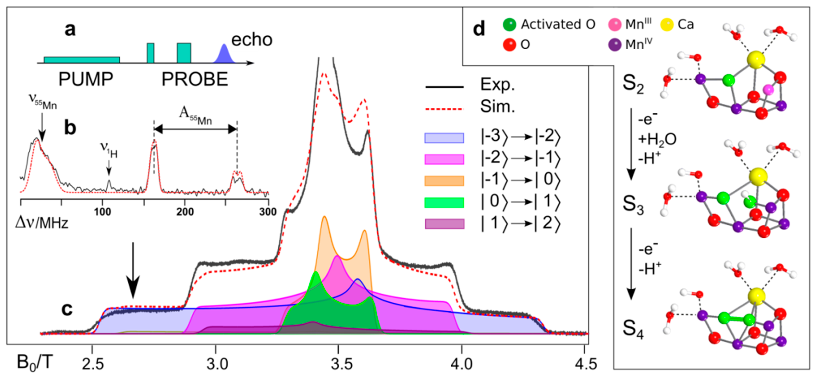 Magnetochemistry 04 00050 g015 Magnetochemistry 04 00050 g015