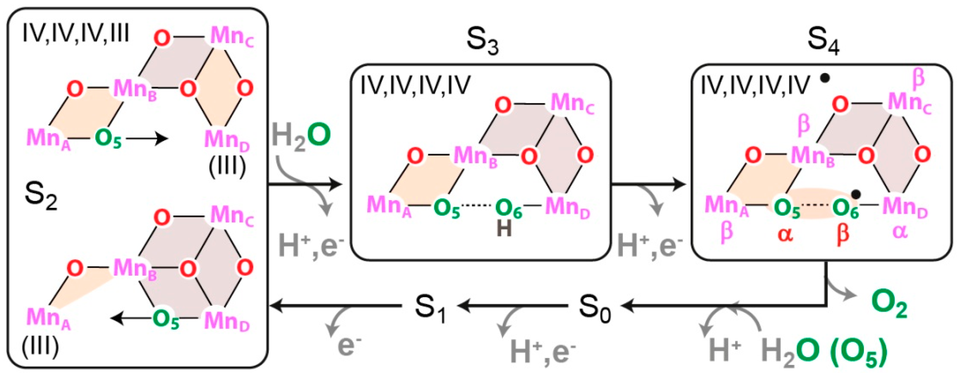 Magnetochemistry 04 00050 g017 Magnetochemistry 04 00050 g017