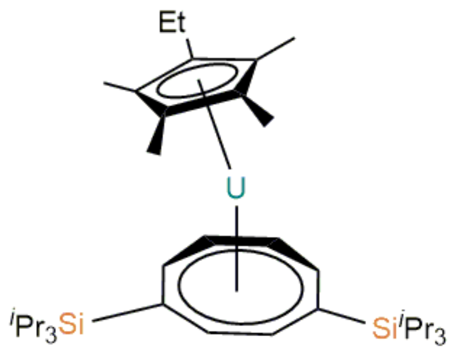 Magnetochemistry 05 00003 g010