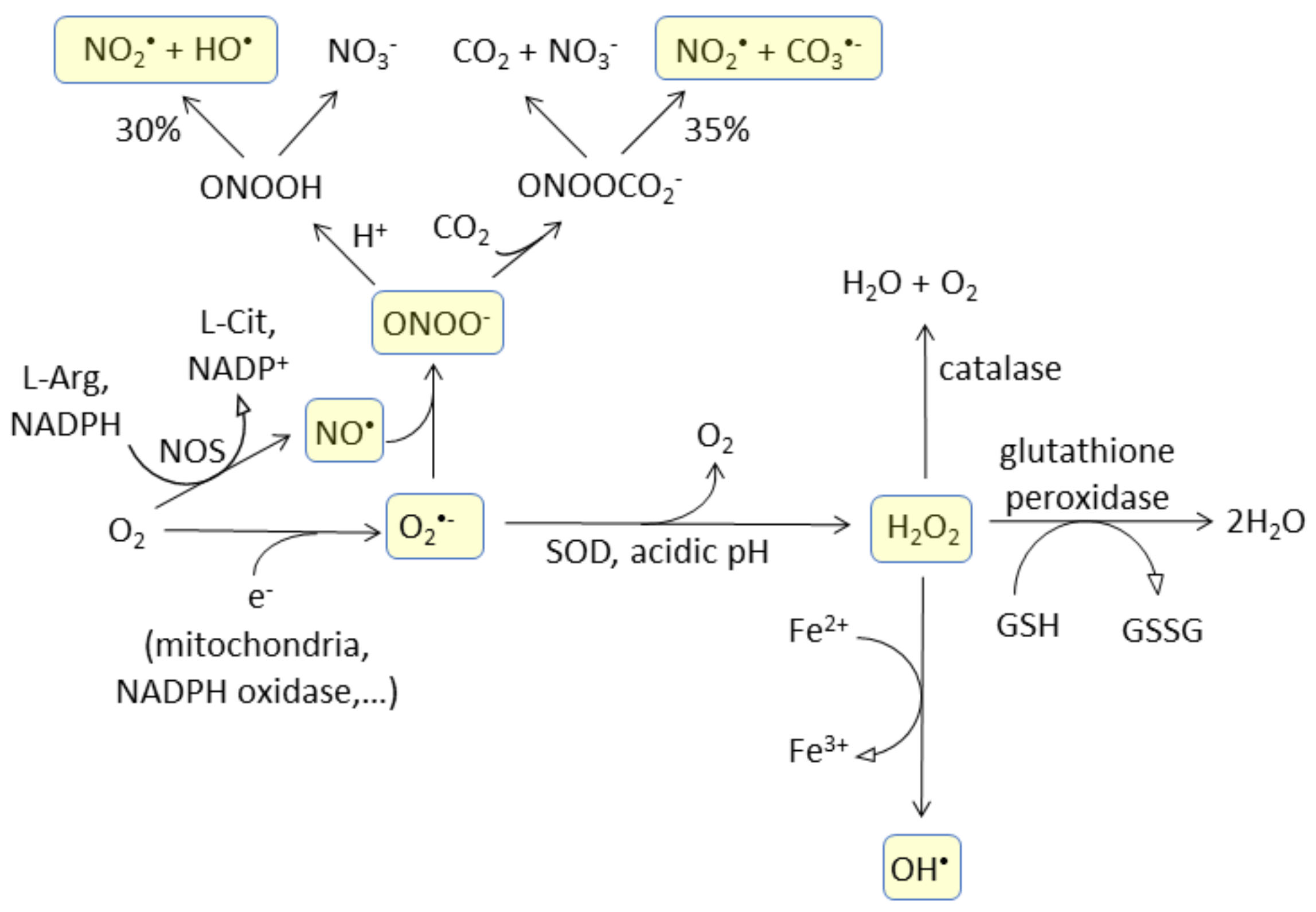 Magnetochemistry 05 00013 g001