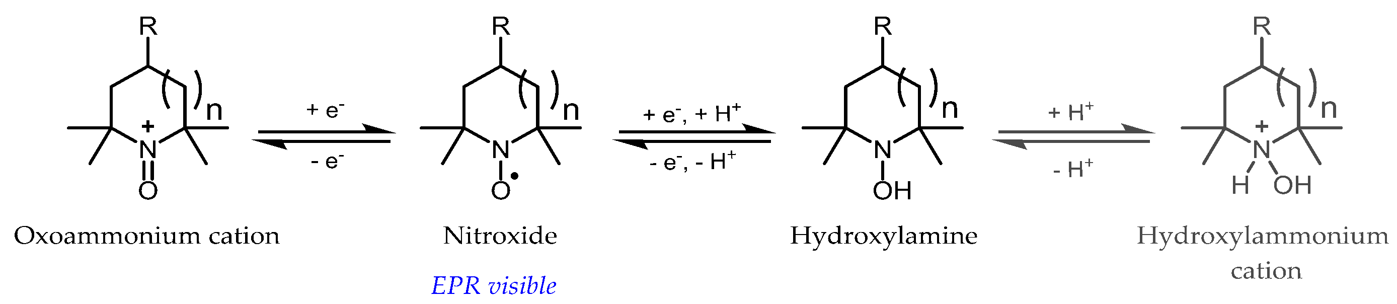 Magnetochemistry 05 00013 g004