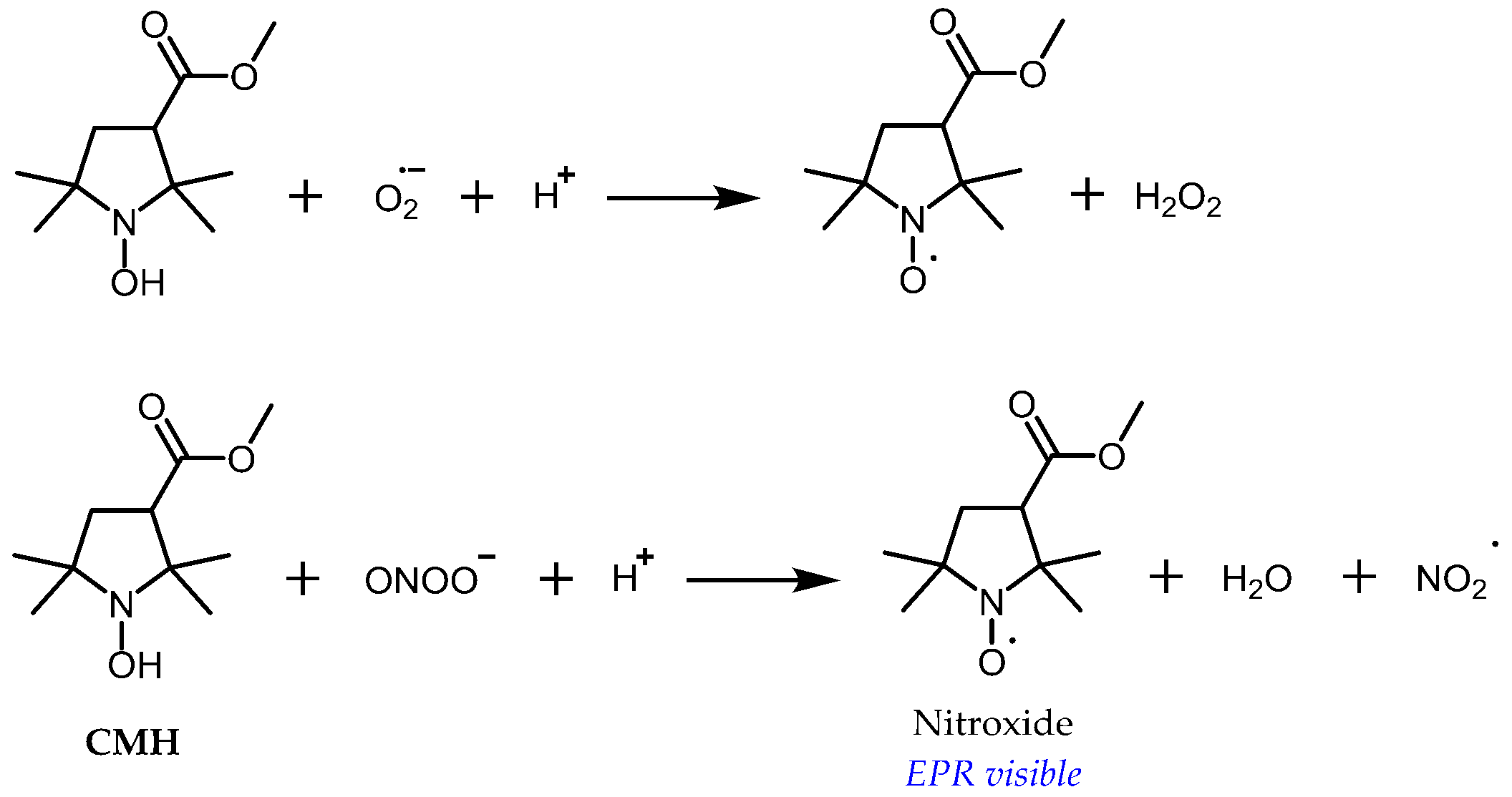 Magnetochemistry 05 00013 g005