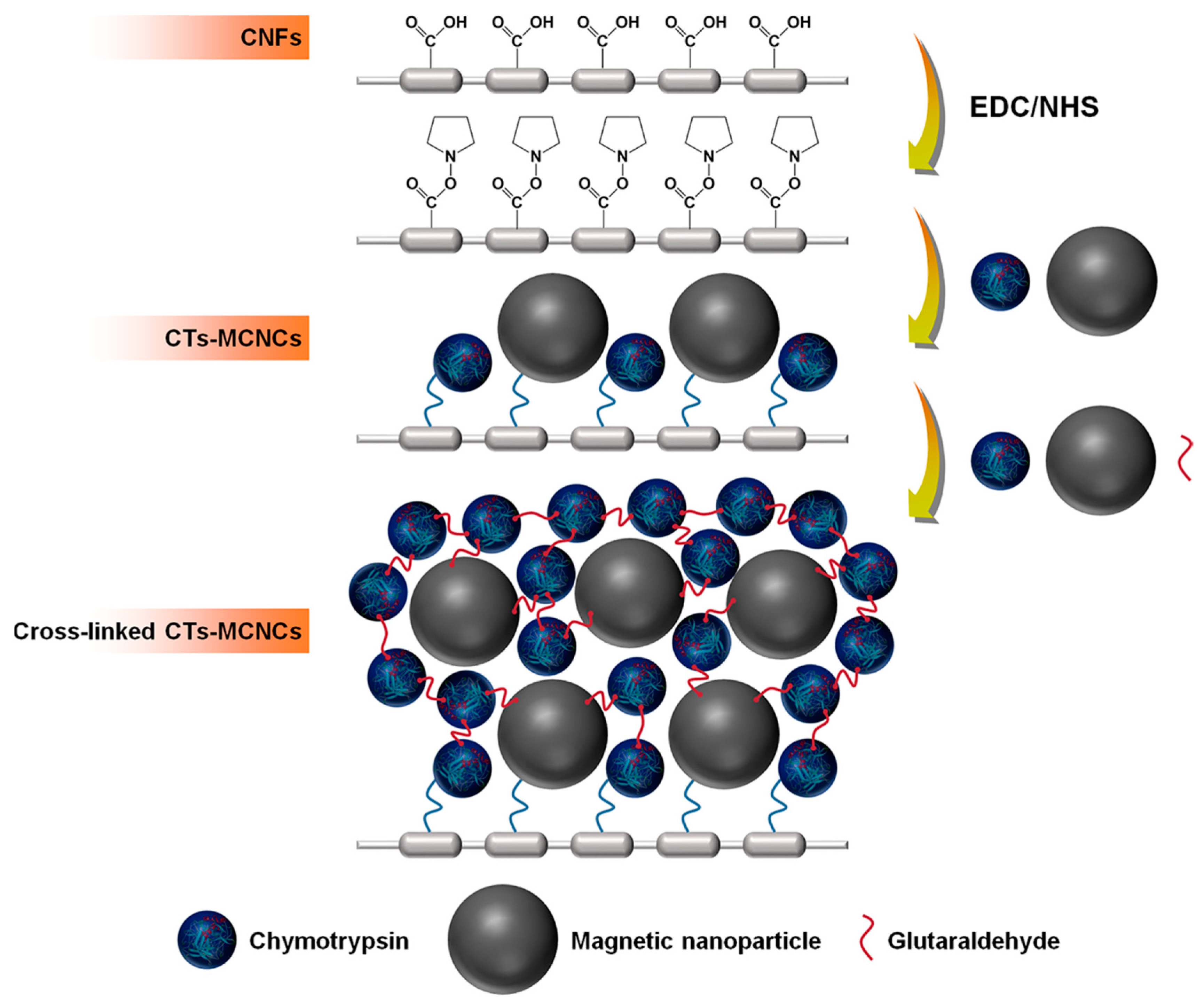 Magnetochemistry 05 00042 g003