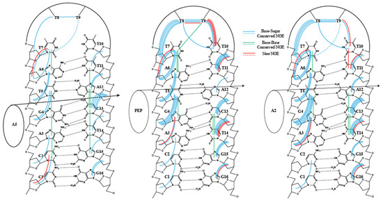 Magnetochemistry Free Full Text Disturbance Of The Conformation Of Dna Hairpin Containing The 5 Gt 3 Binding Site Caused By Zn Ii Bleomycin A5 Studied Through Nmr Spectroscopy Html