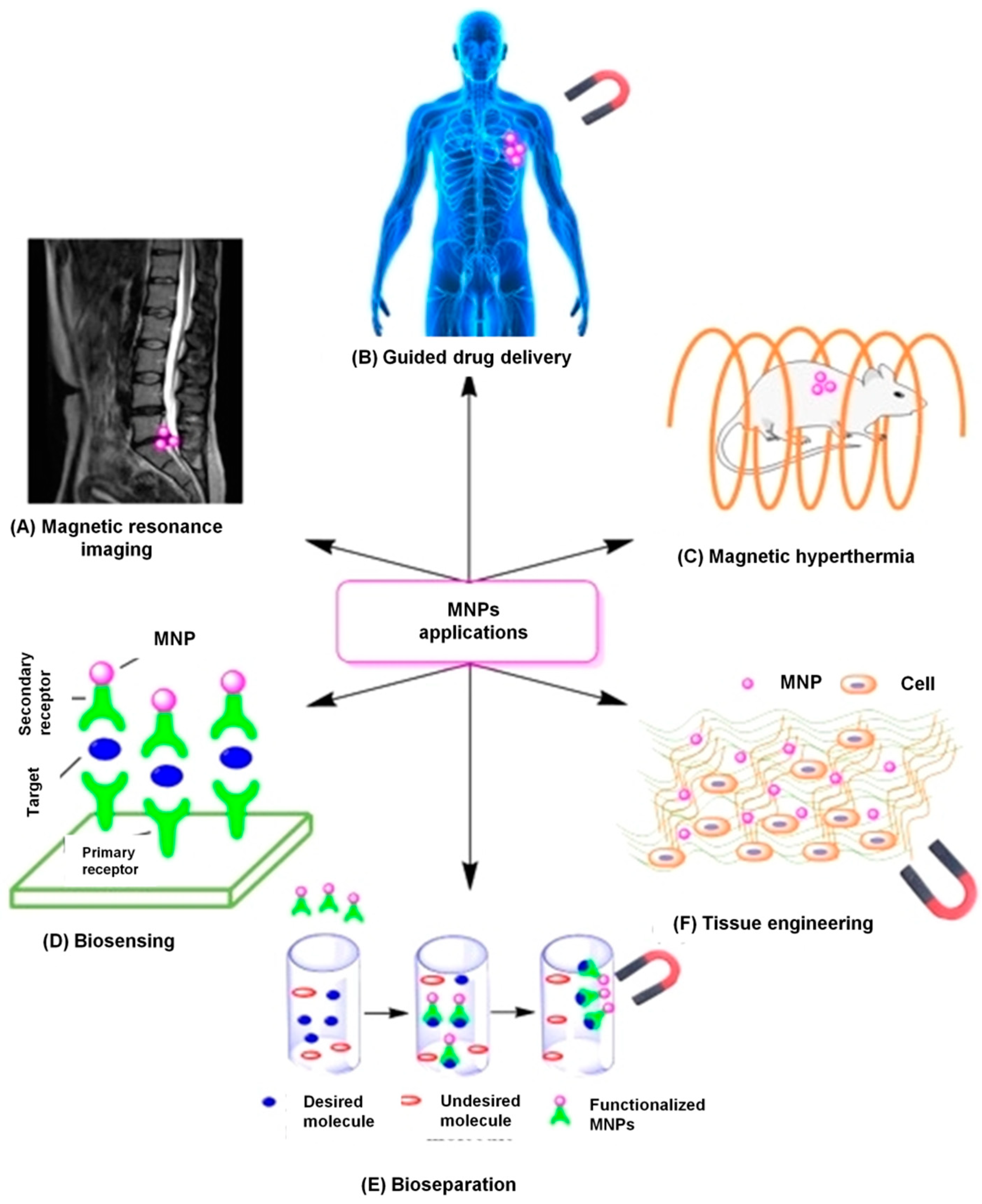 Magnetochemistry 05 00055 g001 Magnetochemistry 05 00055 g001