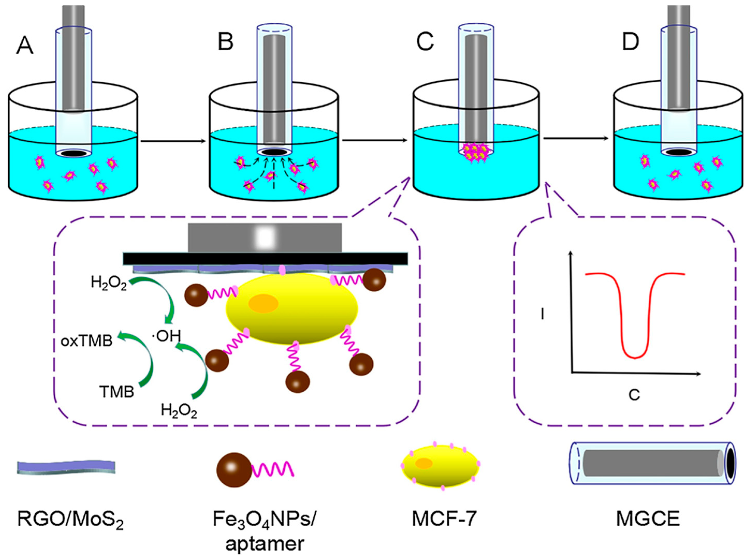 Magnetochemistry 05 00055 g003 Magnetochemistry 05 00055 g003