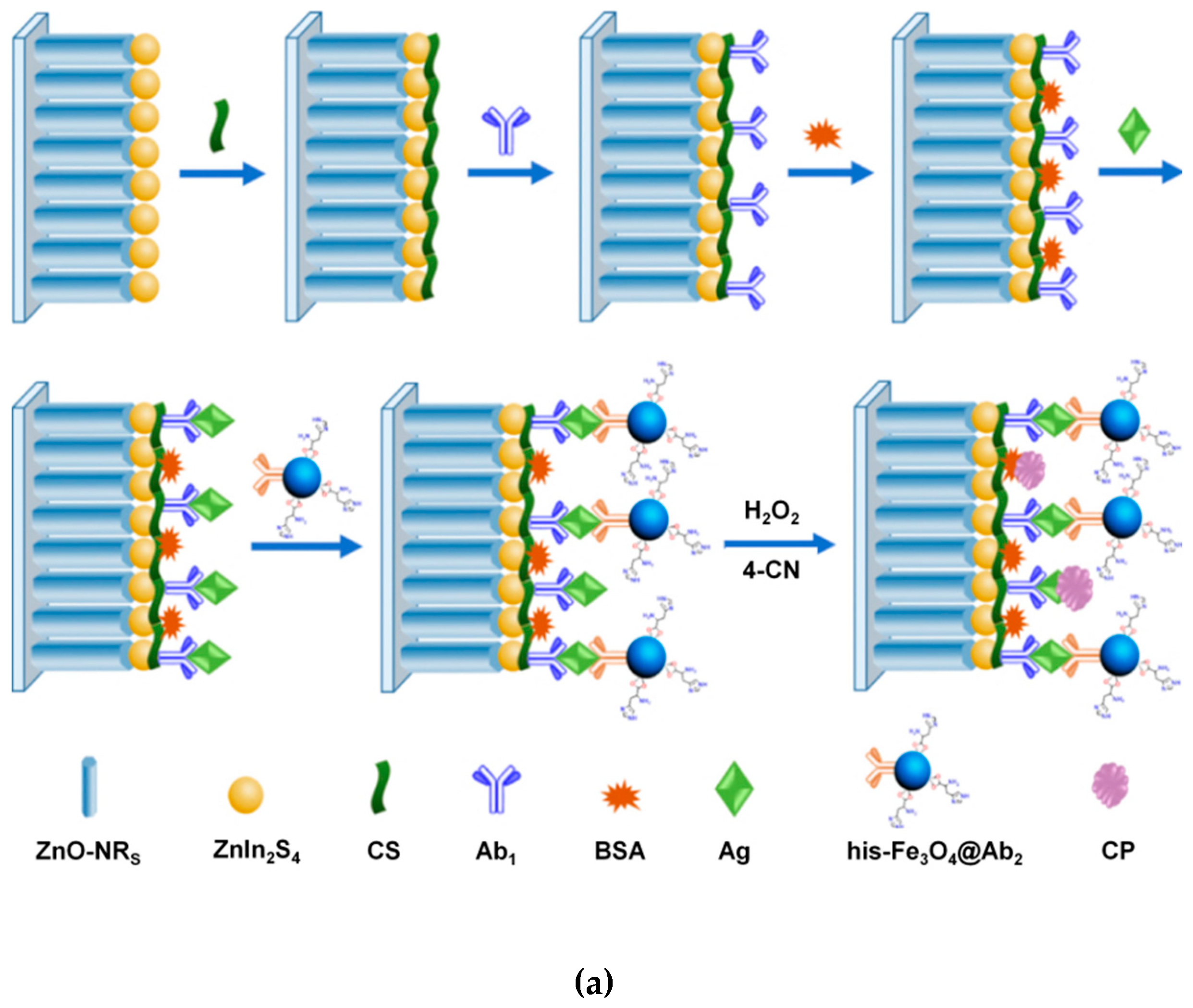 Magnetochemistry 05 00055 g004a Magnetochemistry 05 00055 g004a
