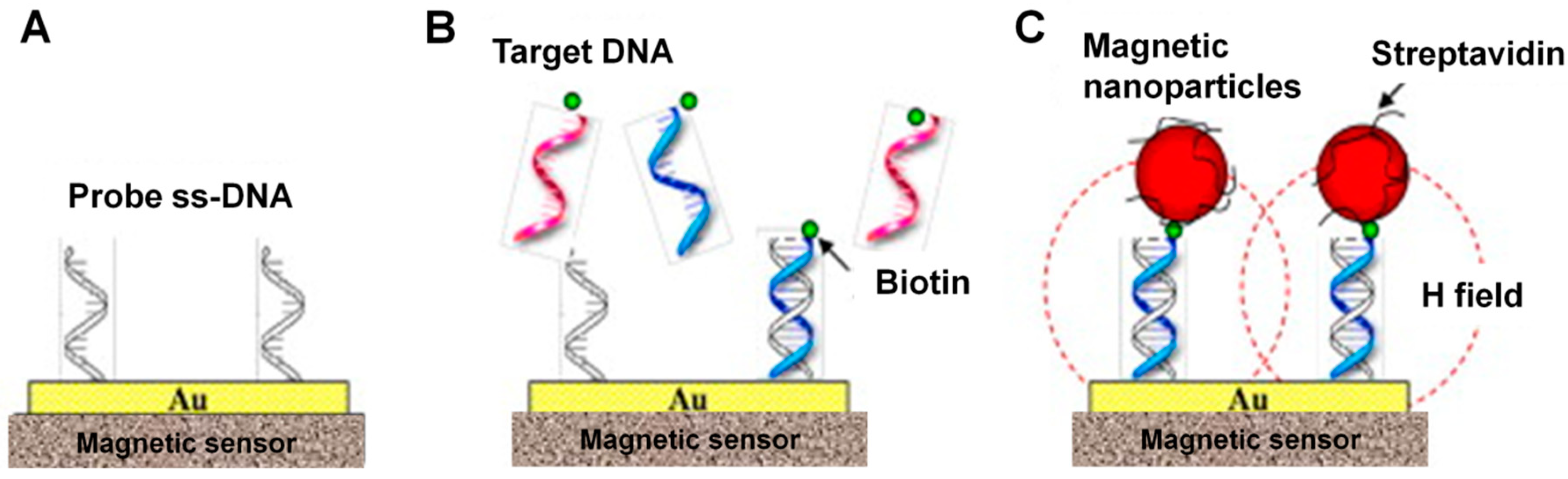 Magnetochemistry 05 00055 g005 Magnetochemistry 05 00055 g005