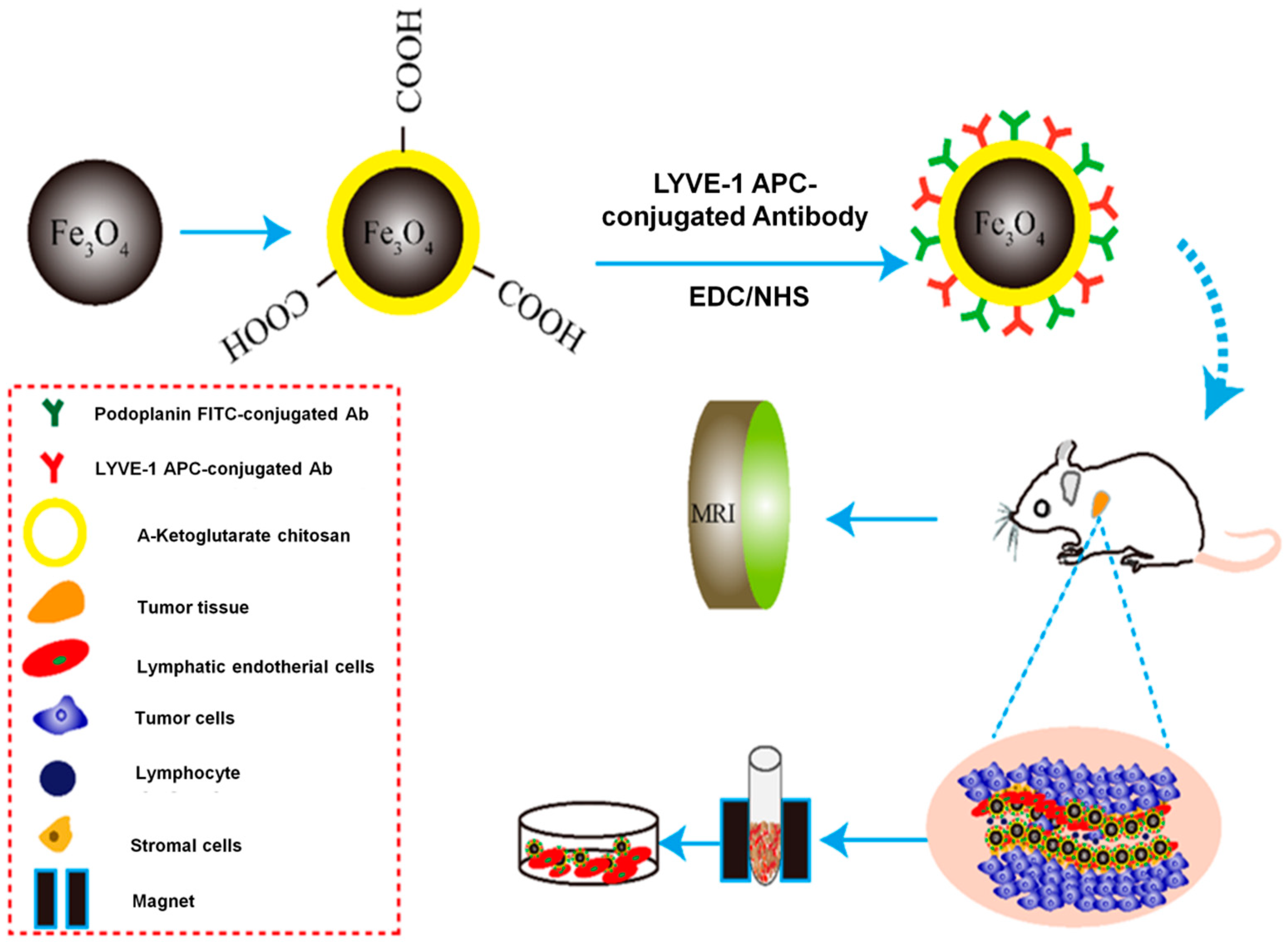 Magnetochemistry 05 00055 g006 Magnetochemistry 05 00055 g006