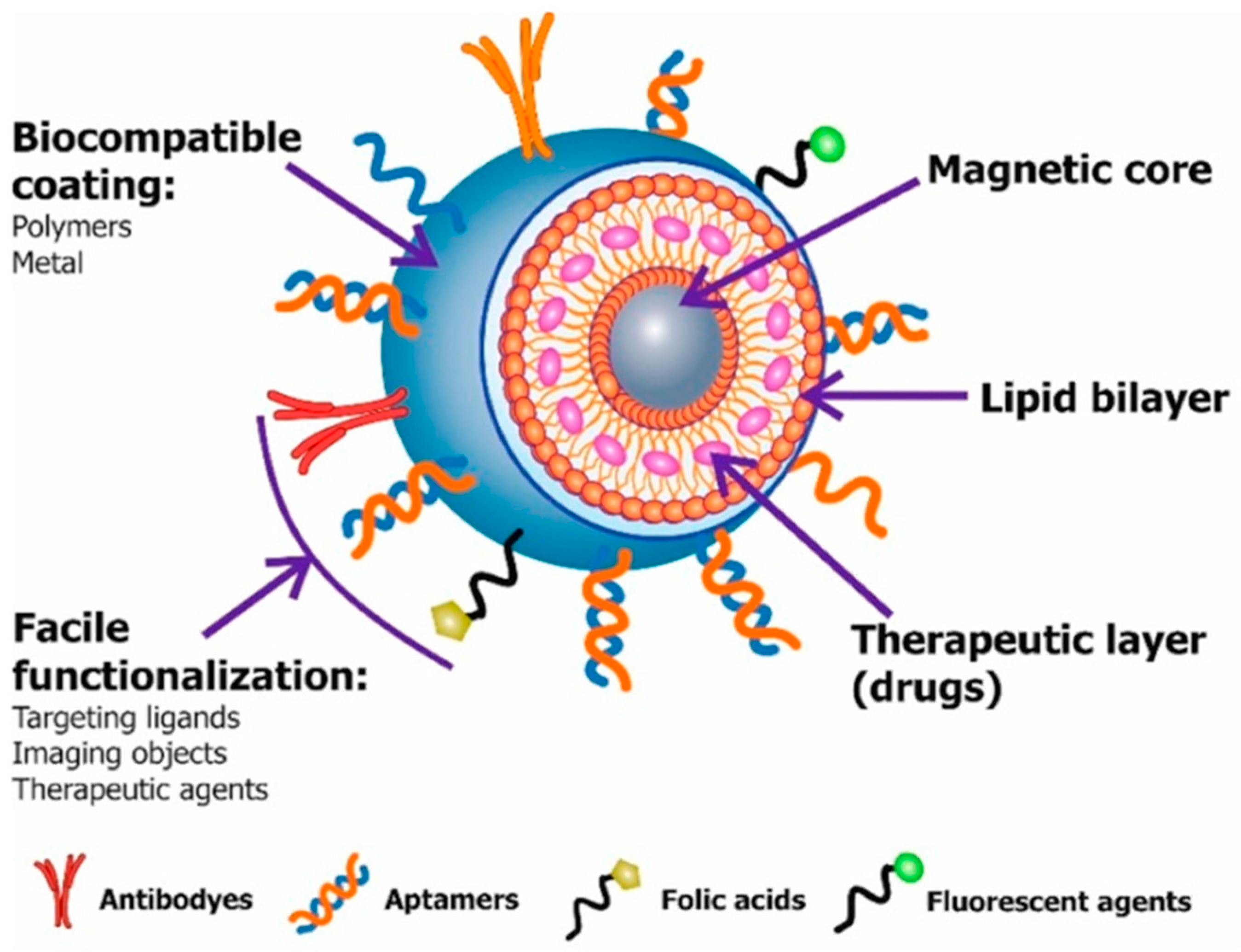 Magnetochemistry 05 00055 g007 Magnetochemistry 05 00055 g007