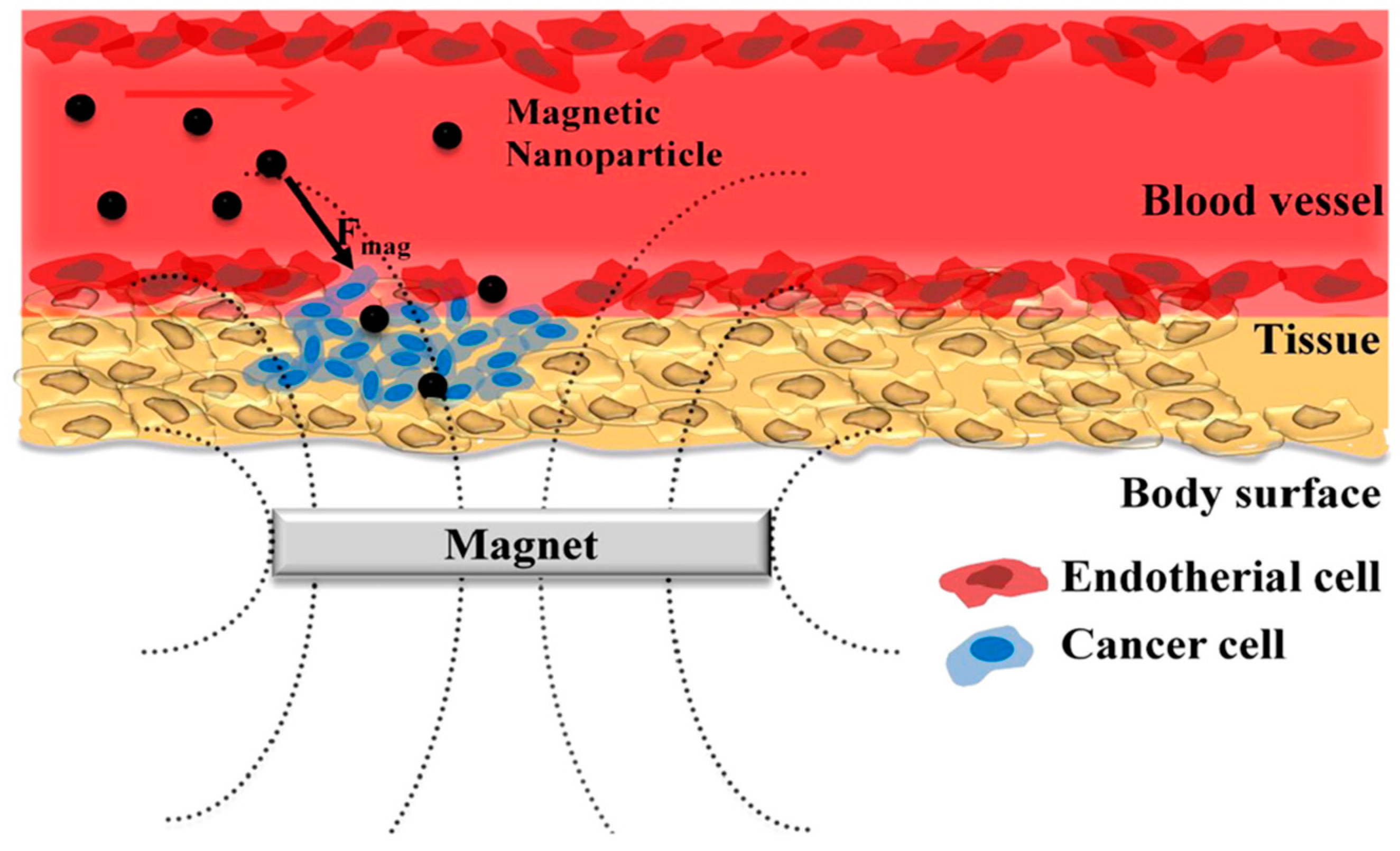 Magnetochemistry 05 00055 g008 Magnetochemistry 05 00055 g008