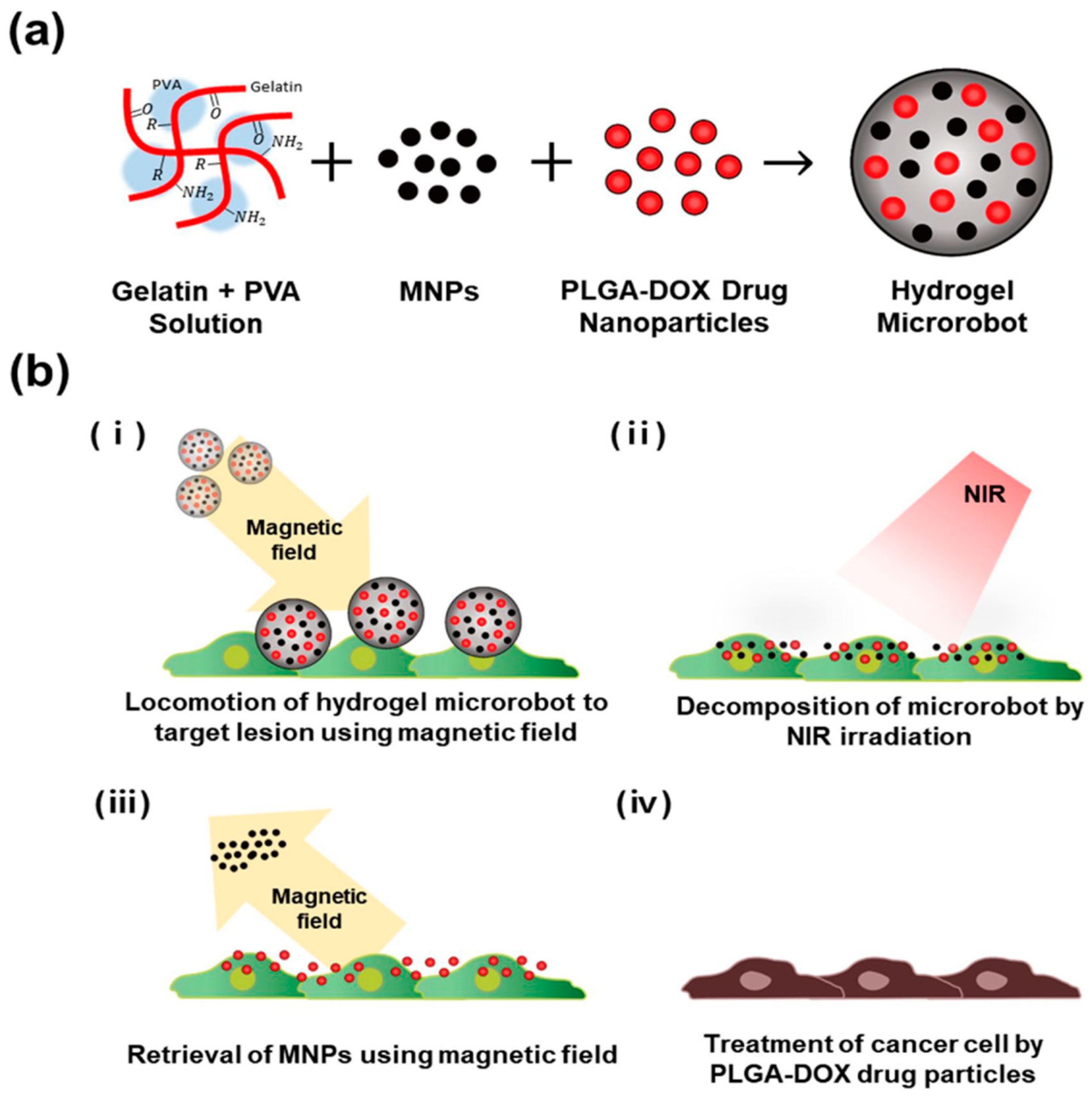Magnetochemistry 05 00055 g009 Magnetochemistry 05 00055 g009